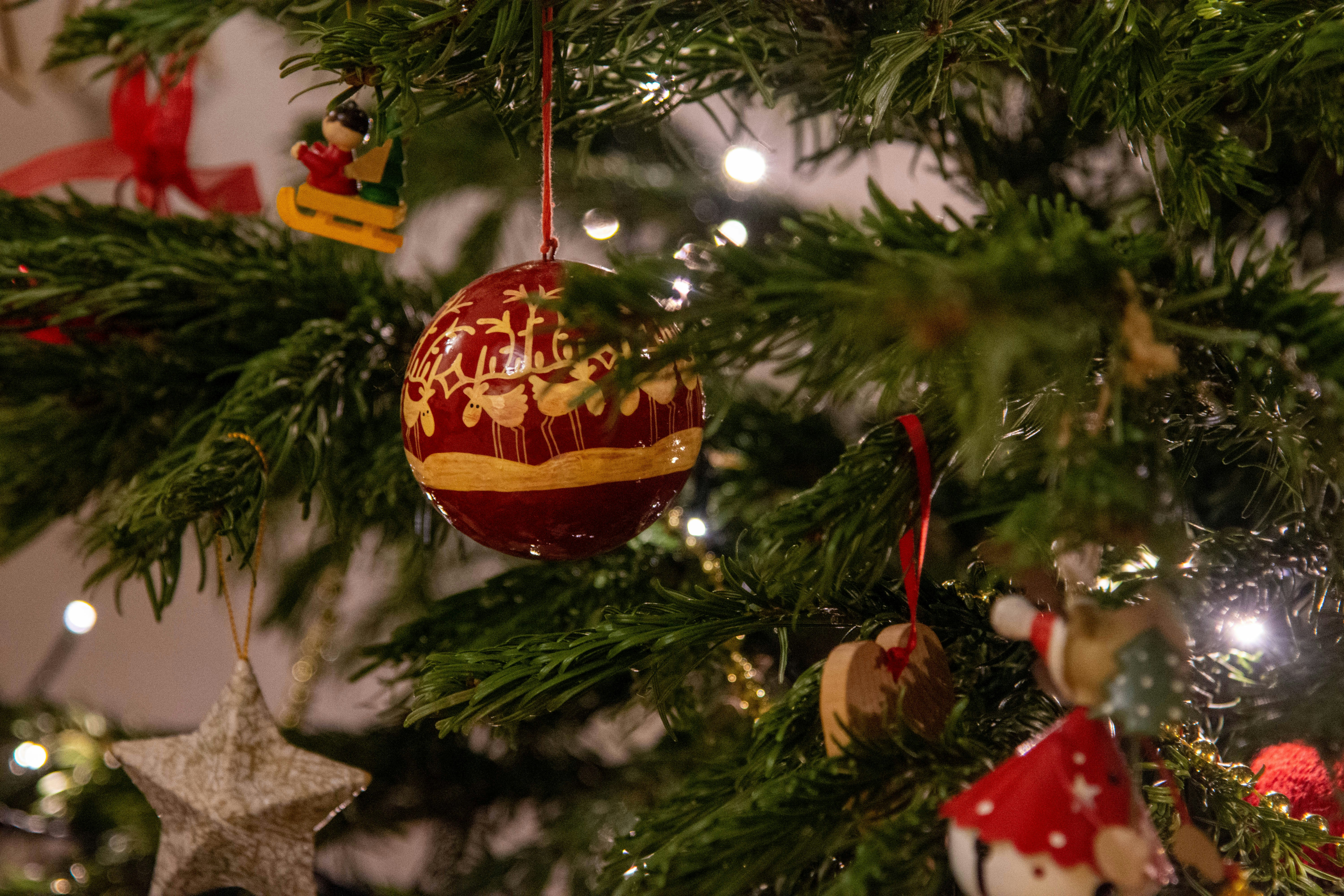 Photo by maplerockdesign