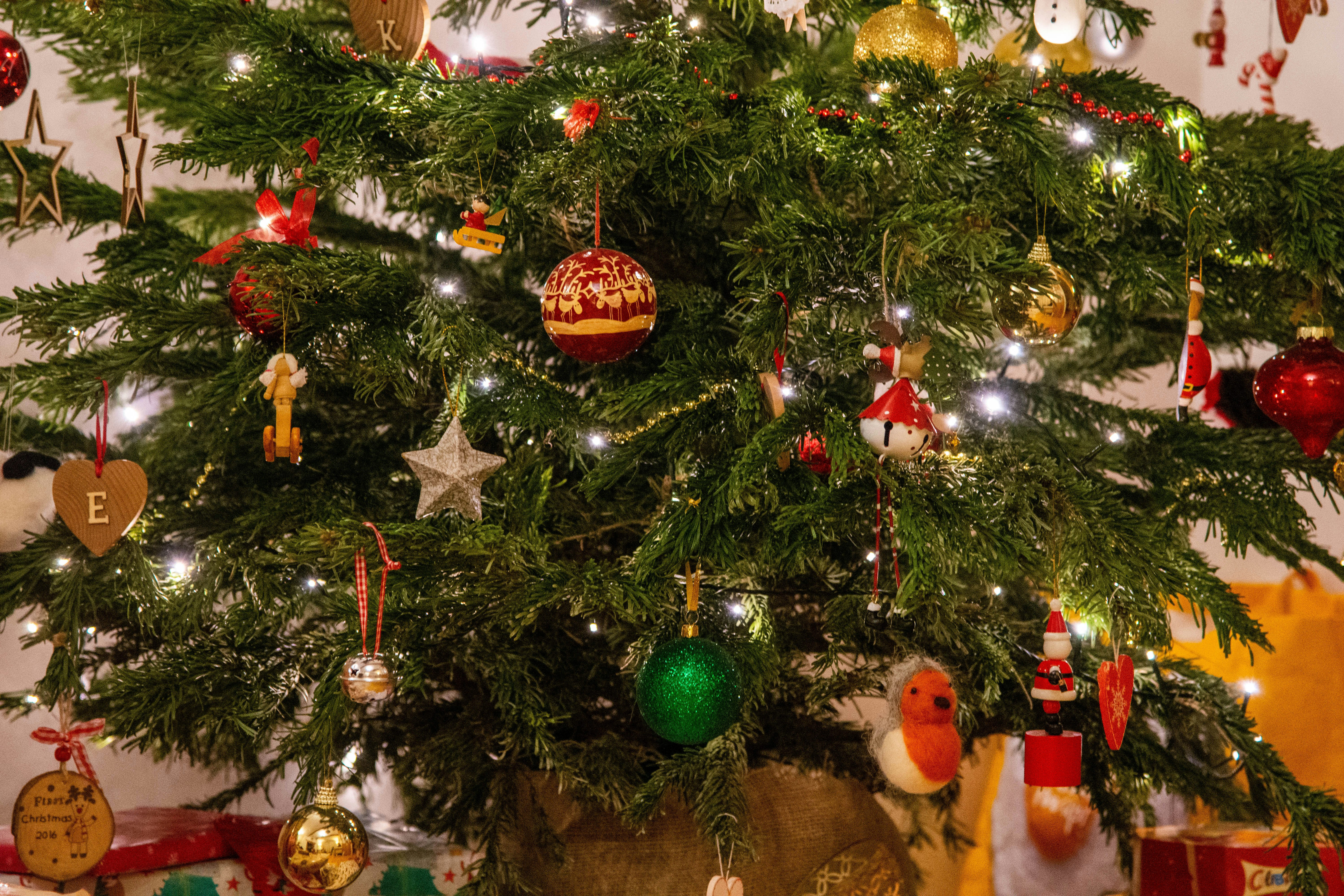 Unsplashで見つけるクリスマスツリーの無料写真