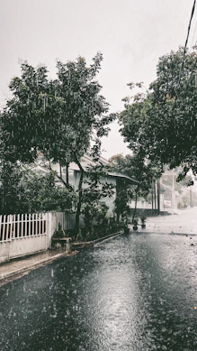 a flooded street with a white fence and trees