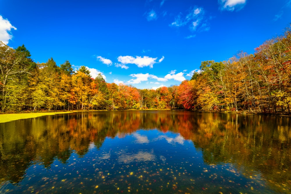 ein See, der im Herbst von vielen Bäumen umgeben ist