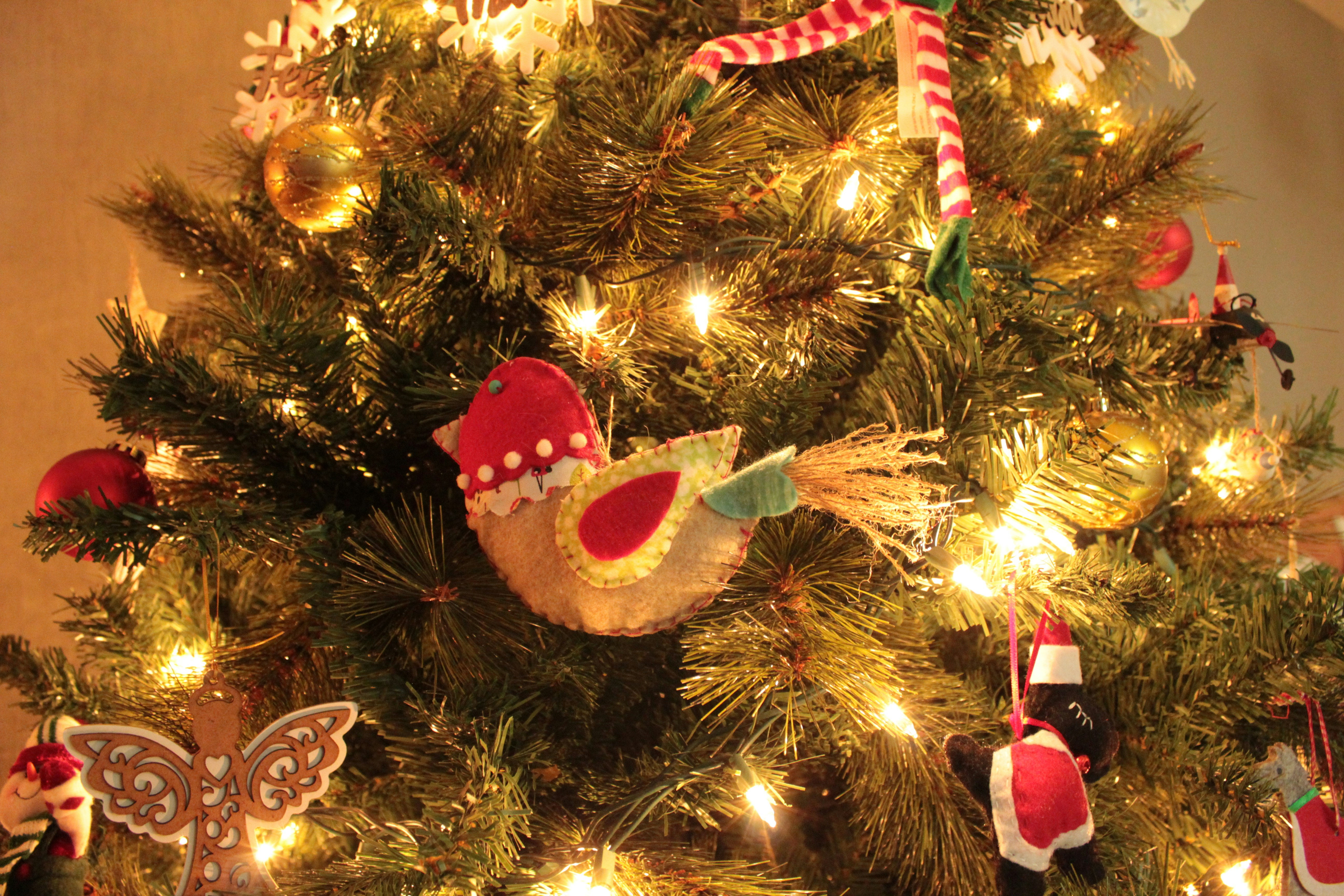 Photo by marianaglezc