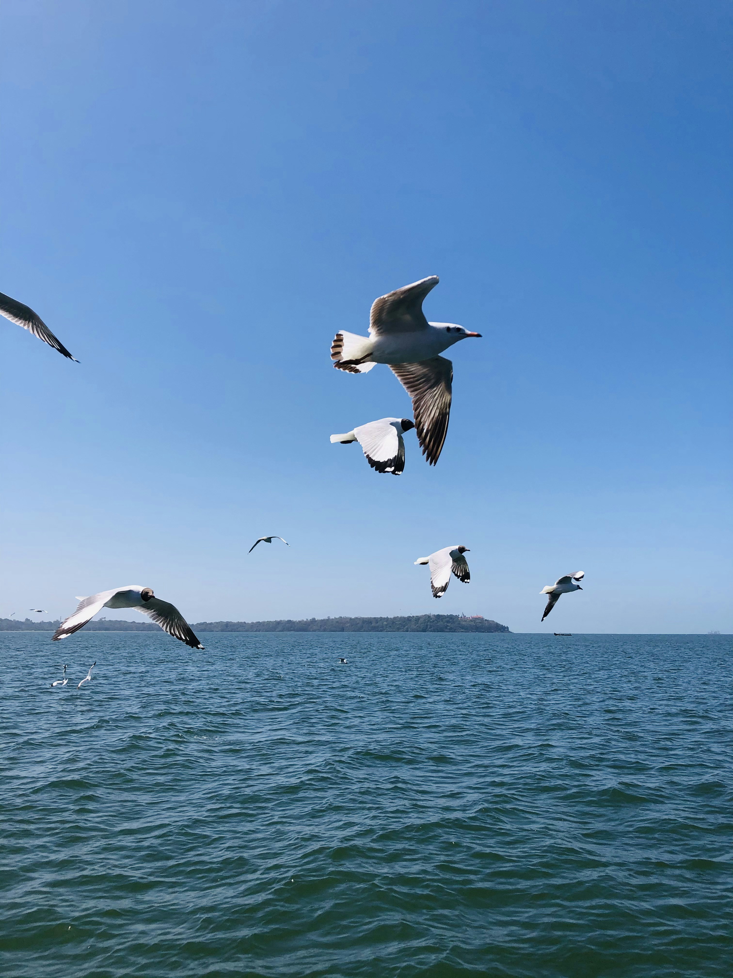 Photo by wallpaperkingsaini