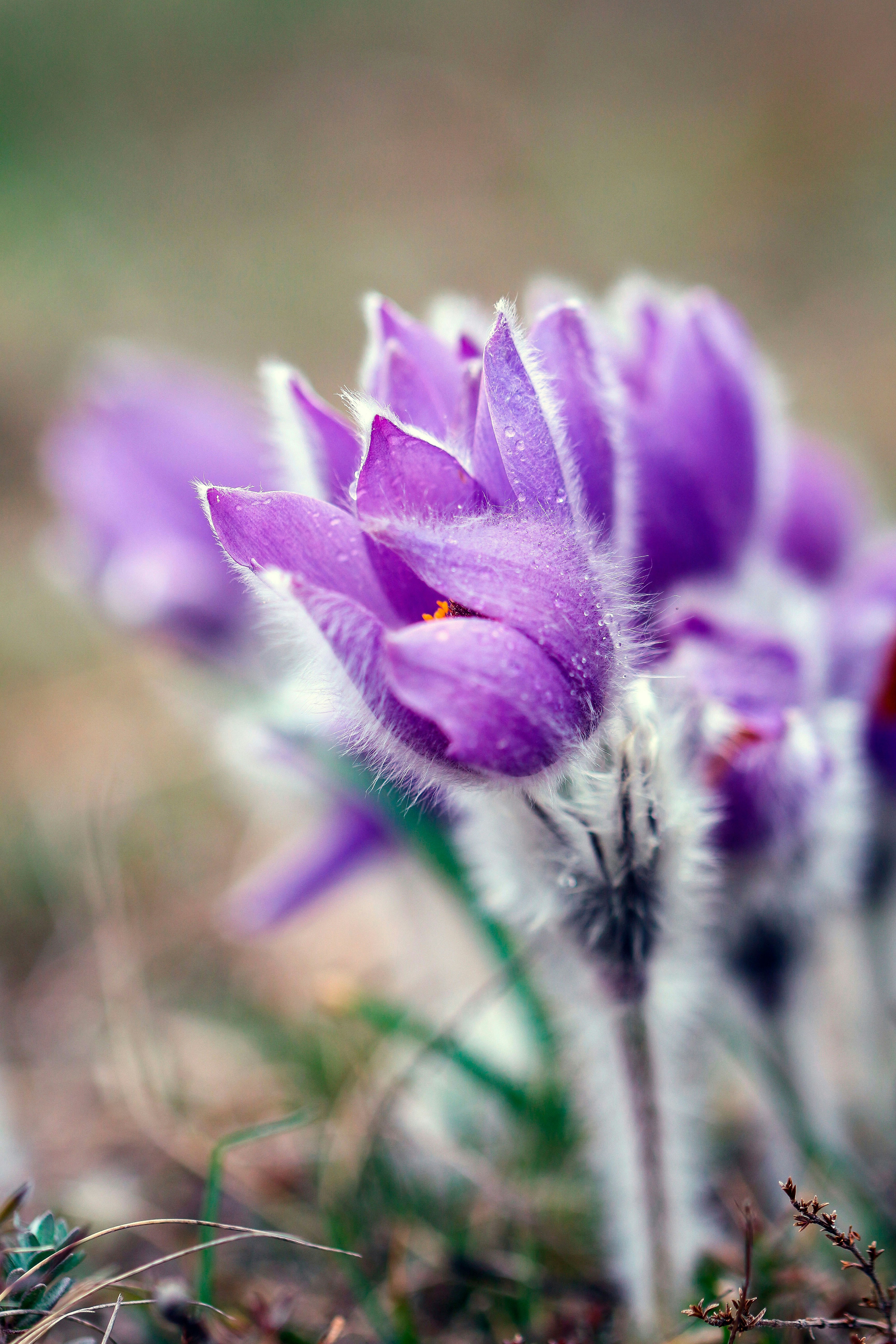 Photo by anastasia_clark