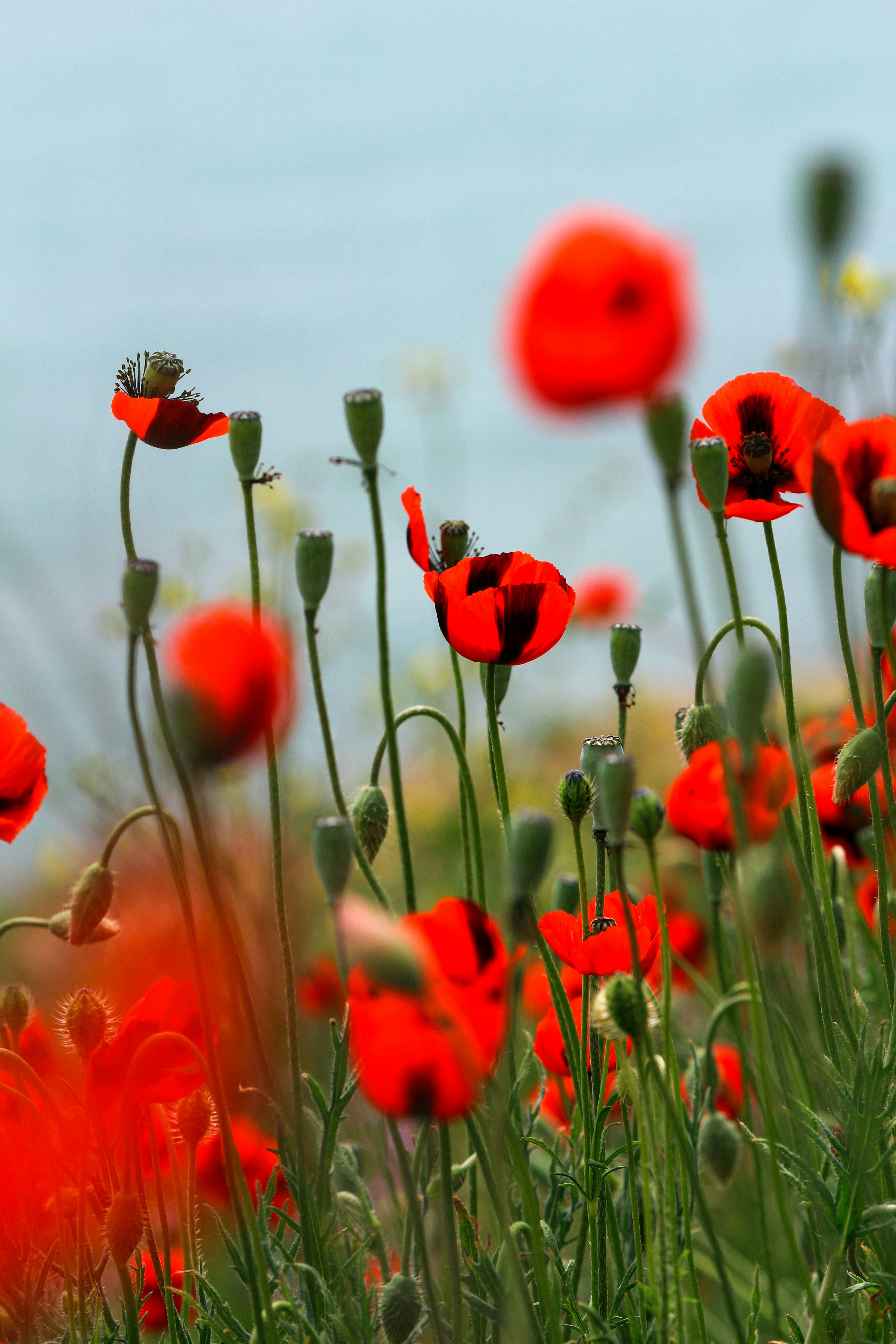 Photo by anastasia_clark