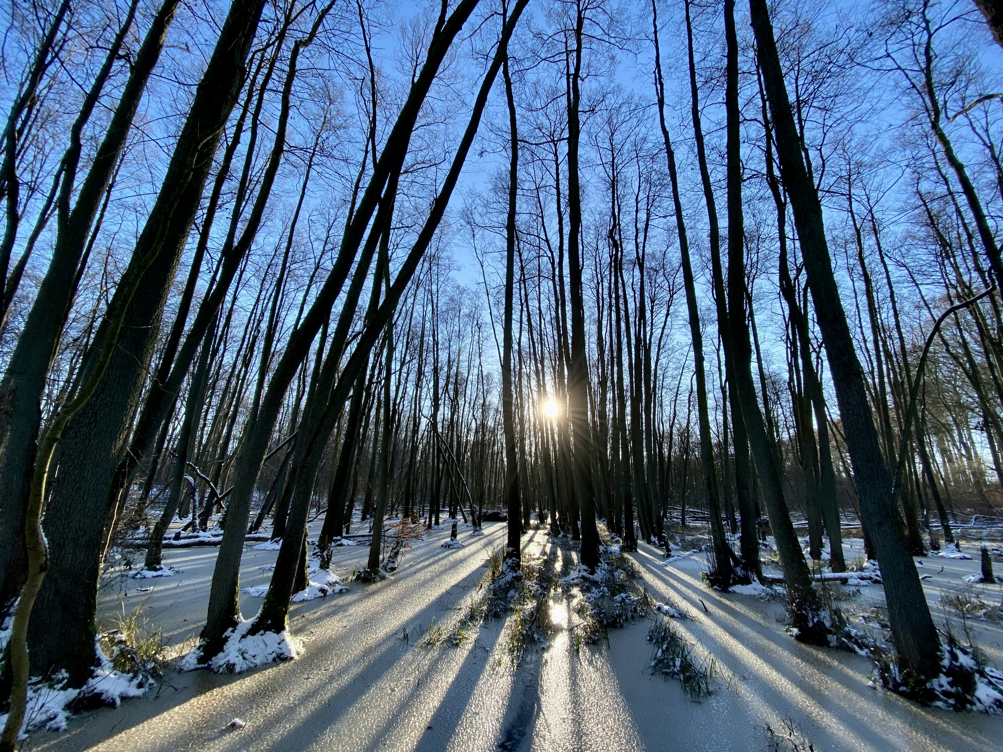 The Memory Illusion: Why Your Brain Rewrites the Past