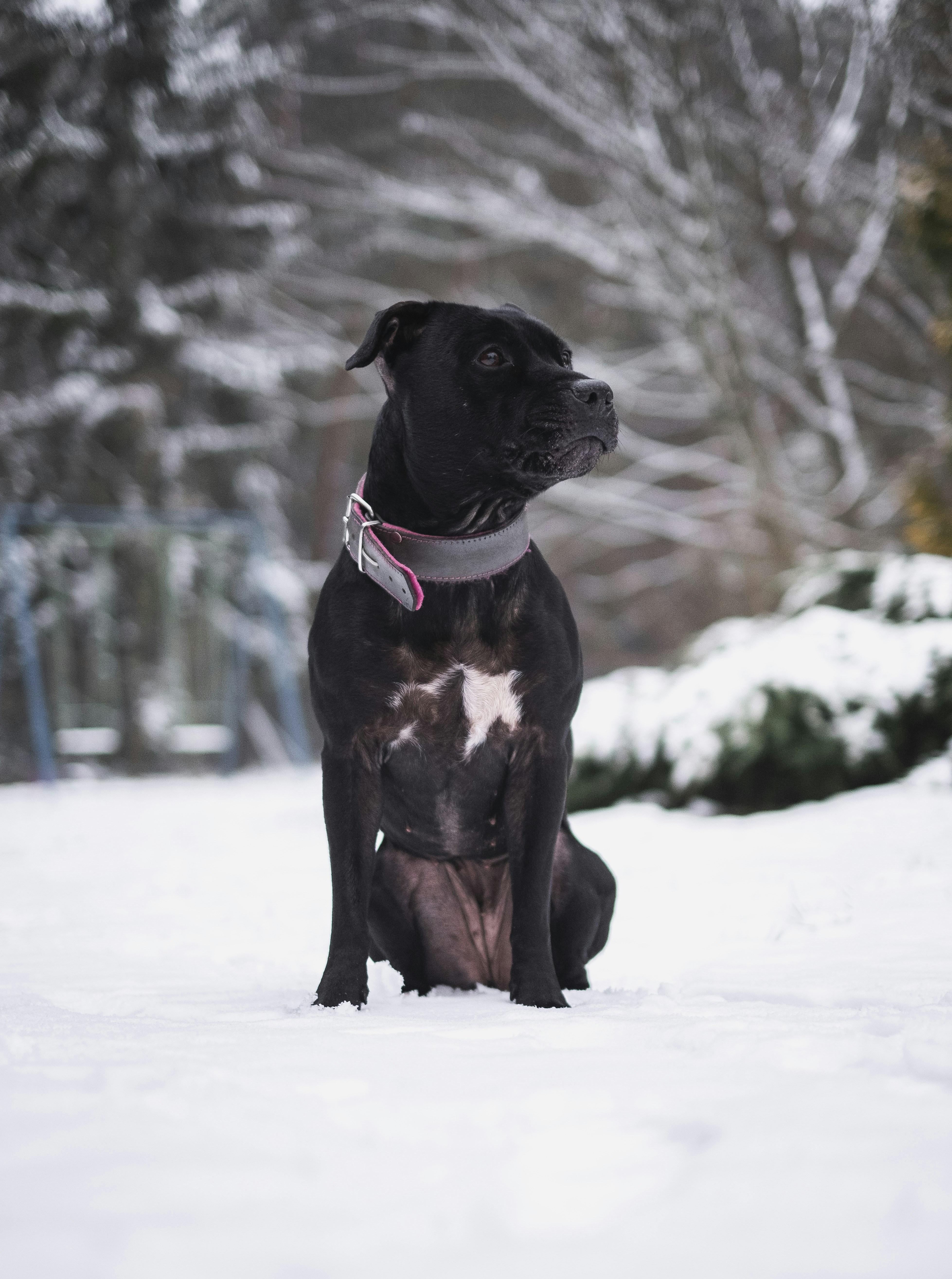 Photo by victor_vector