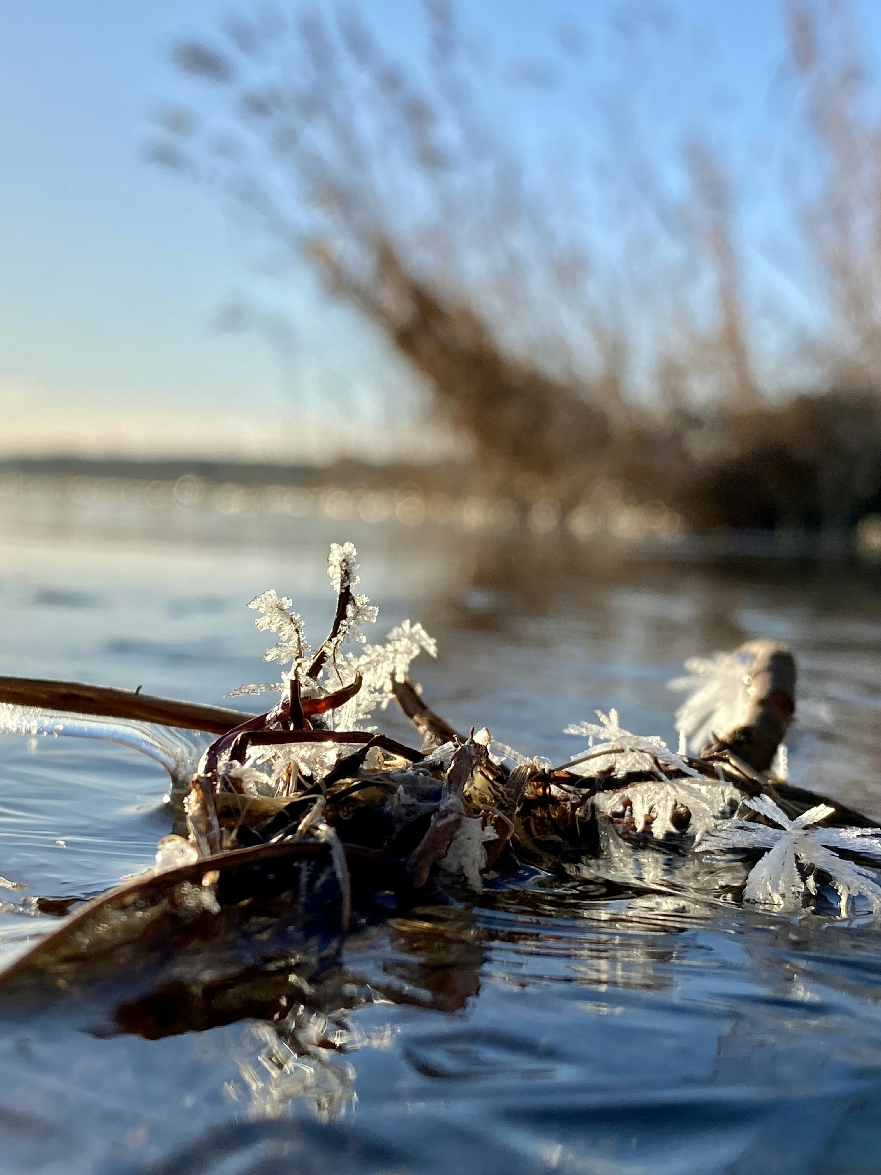 a body of water with a bunch of ice on top of it