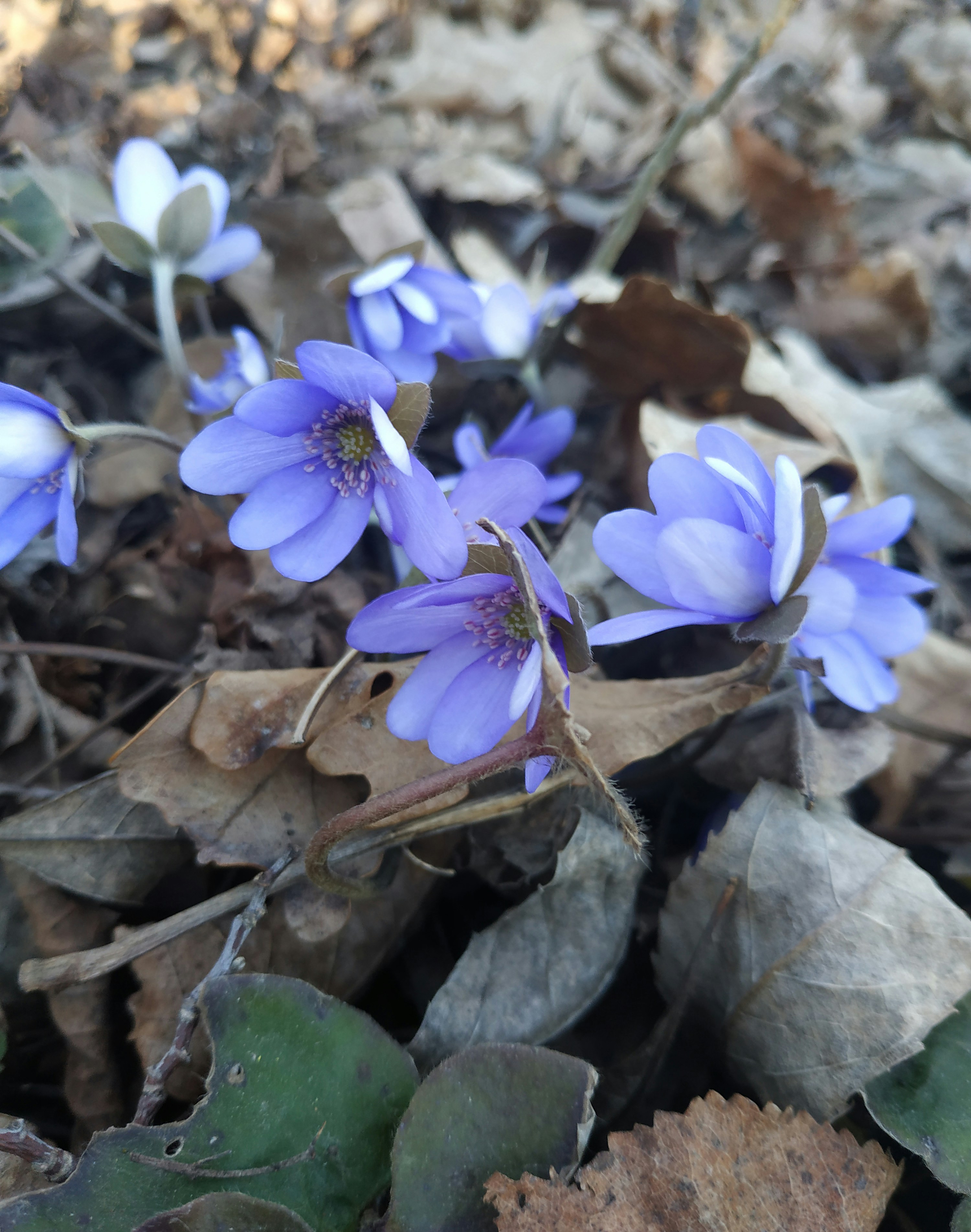 Photo by helen_zahrai