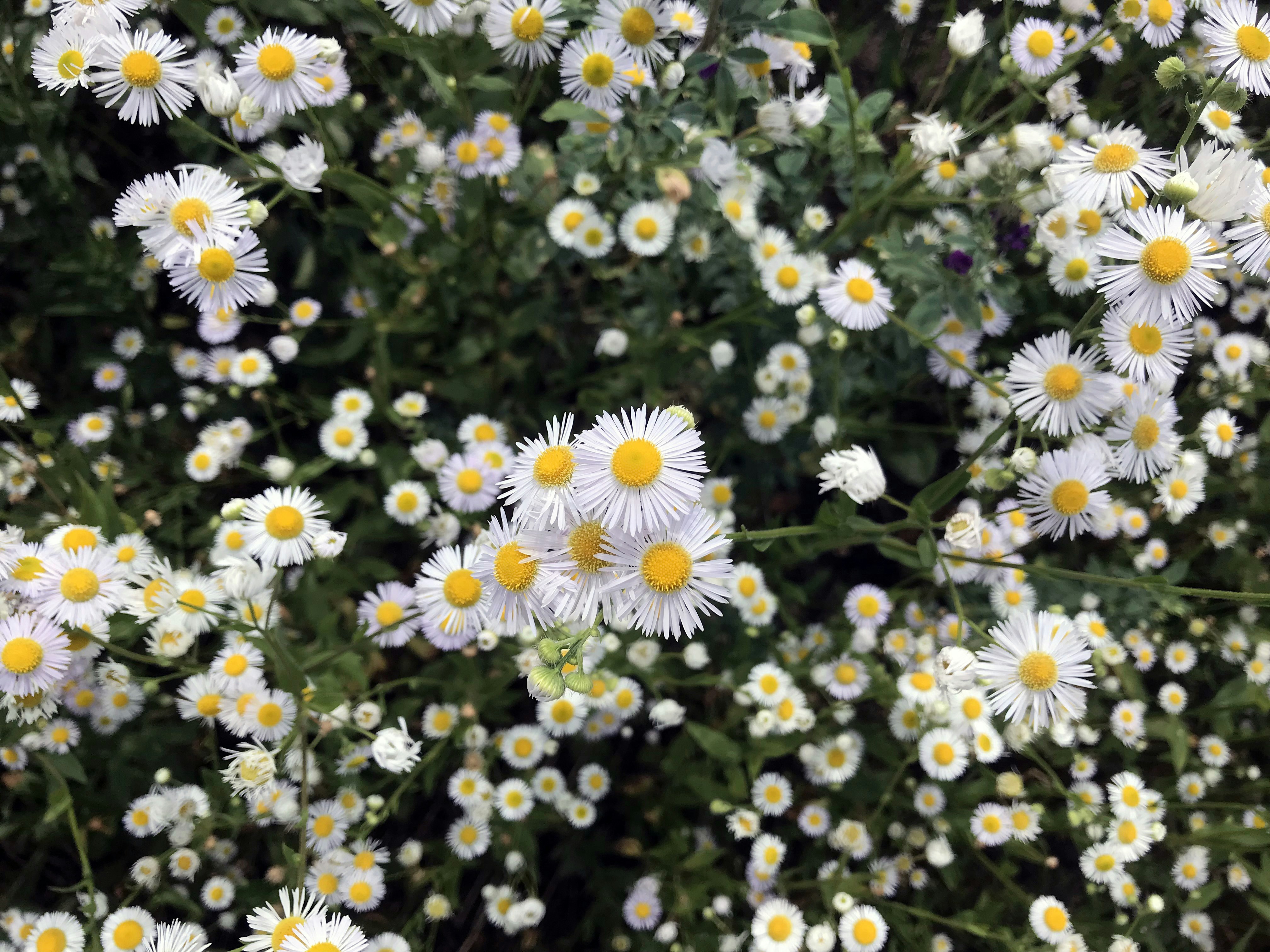 Photo by helen_zahrai