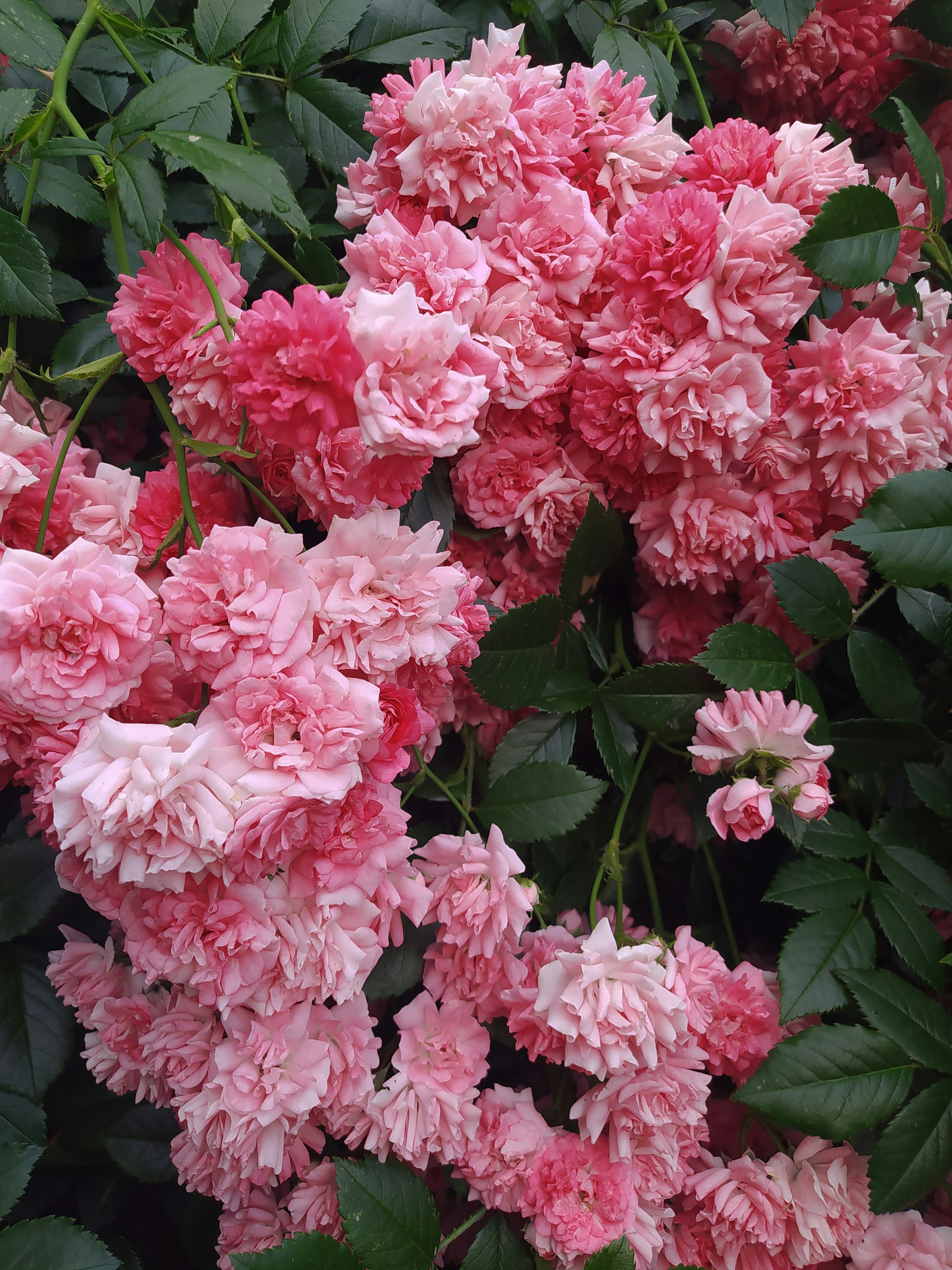 Photo by helen_zahrai