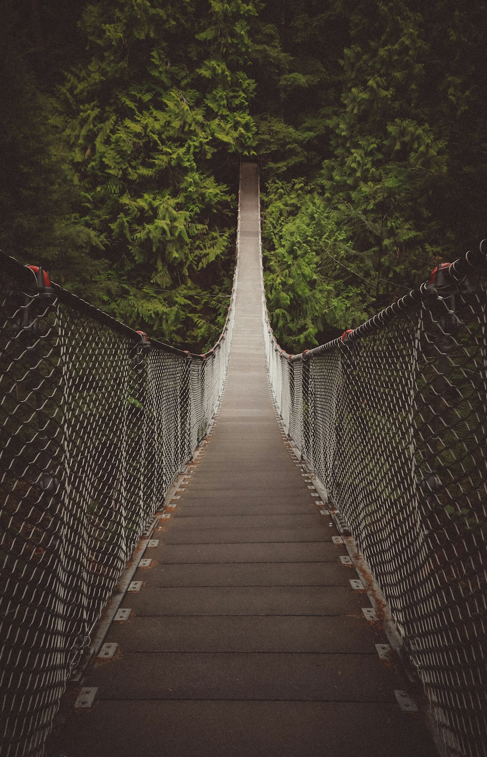 a long suspension bridge in the middle of a forest