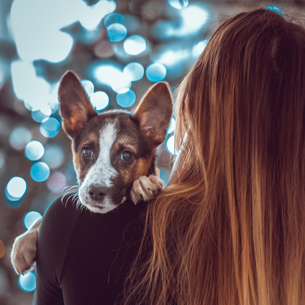 a woman holding a small dog in her arms