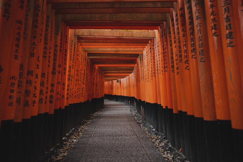 rows of orange and black tori tori tori tori tori tori tori tori tori tori tori