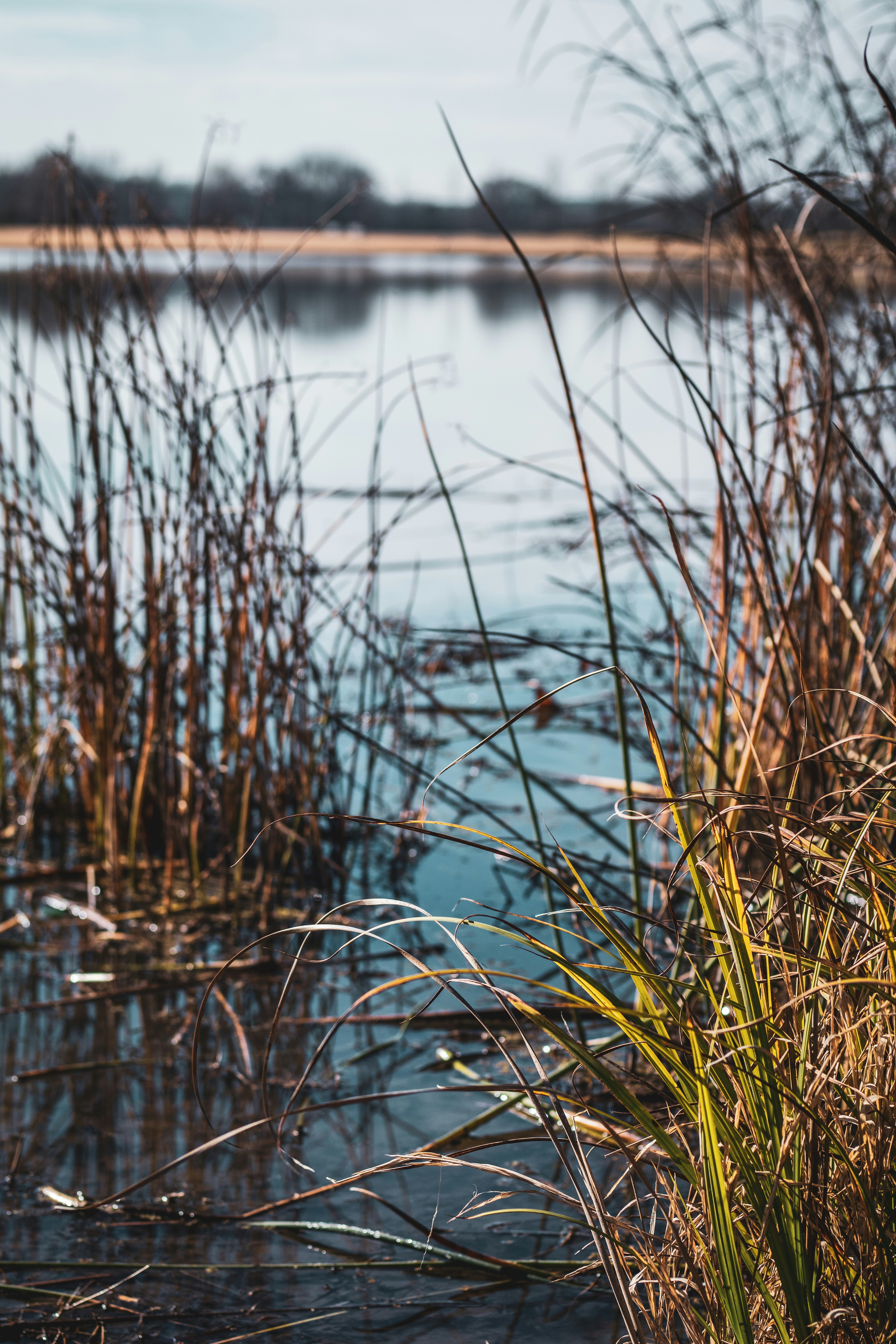 Photo by blackwell_fotography