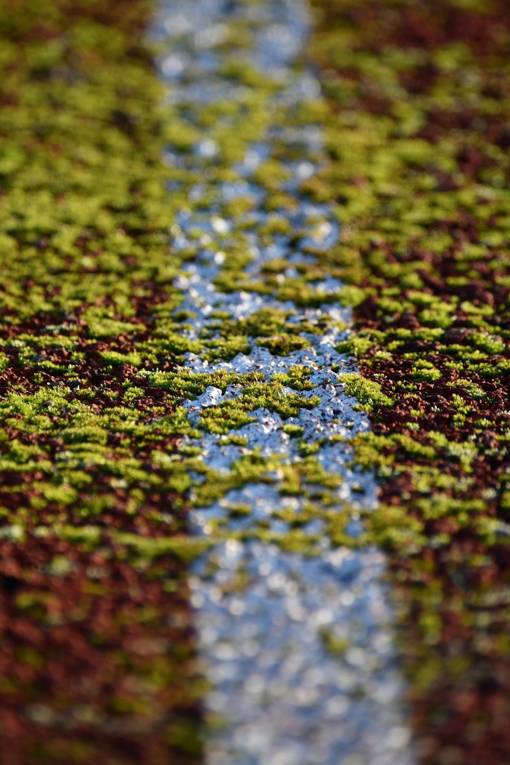 a close up of a street with a blue line painted on it