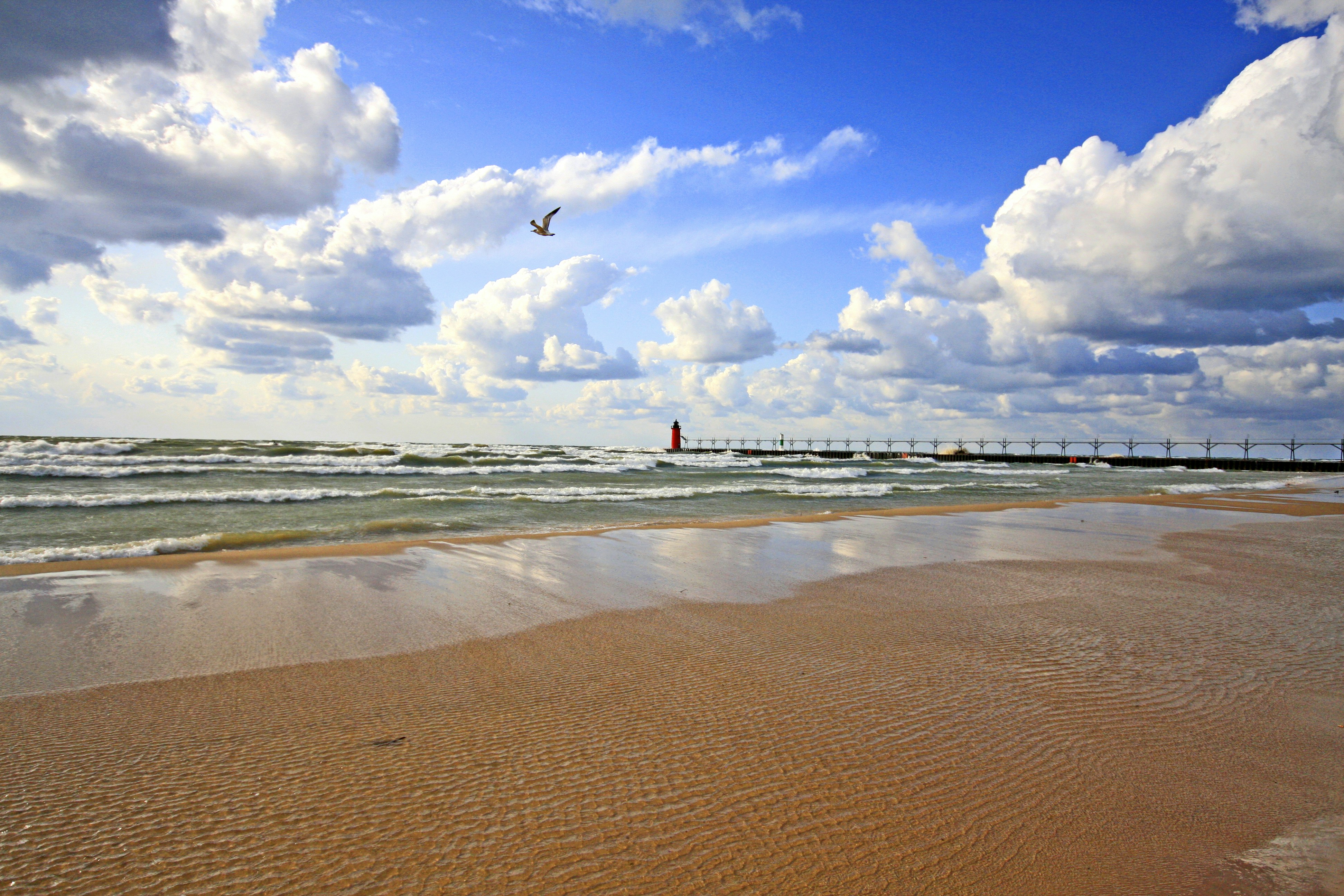 a bird flying over a beach next to the ocean