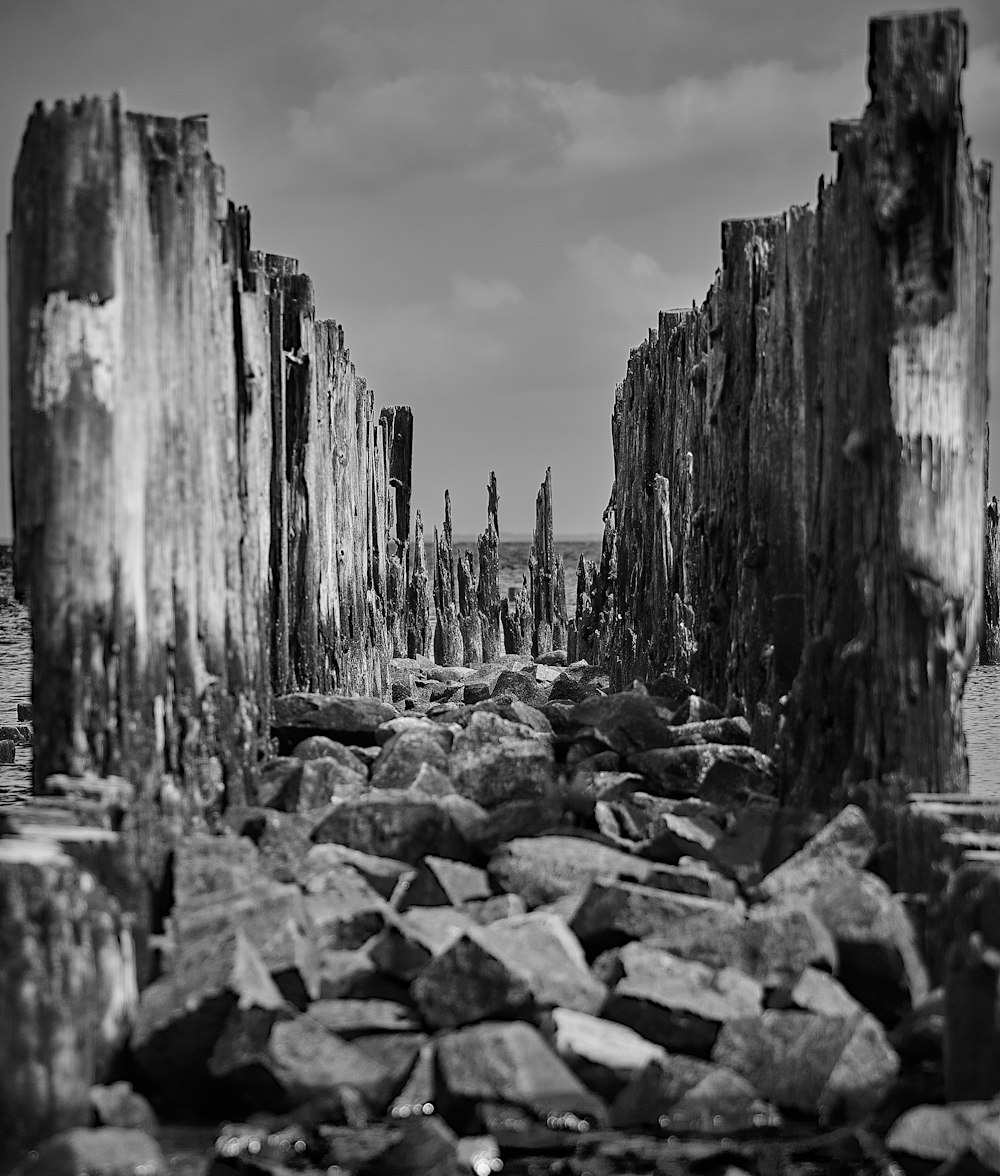 a black and white photo of rocks and wood