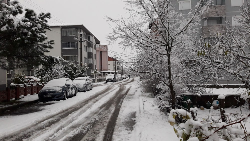 a snowy street with cars parked on the side of it