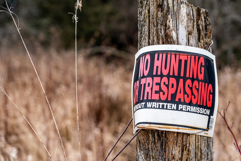 a no hunting sign on a telephone pole