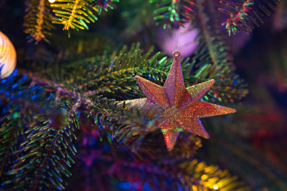 Un ornement étoilé suspendu à un arbre de Noël