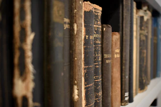 a row of books sitting on top of a white shelf