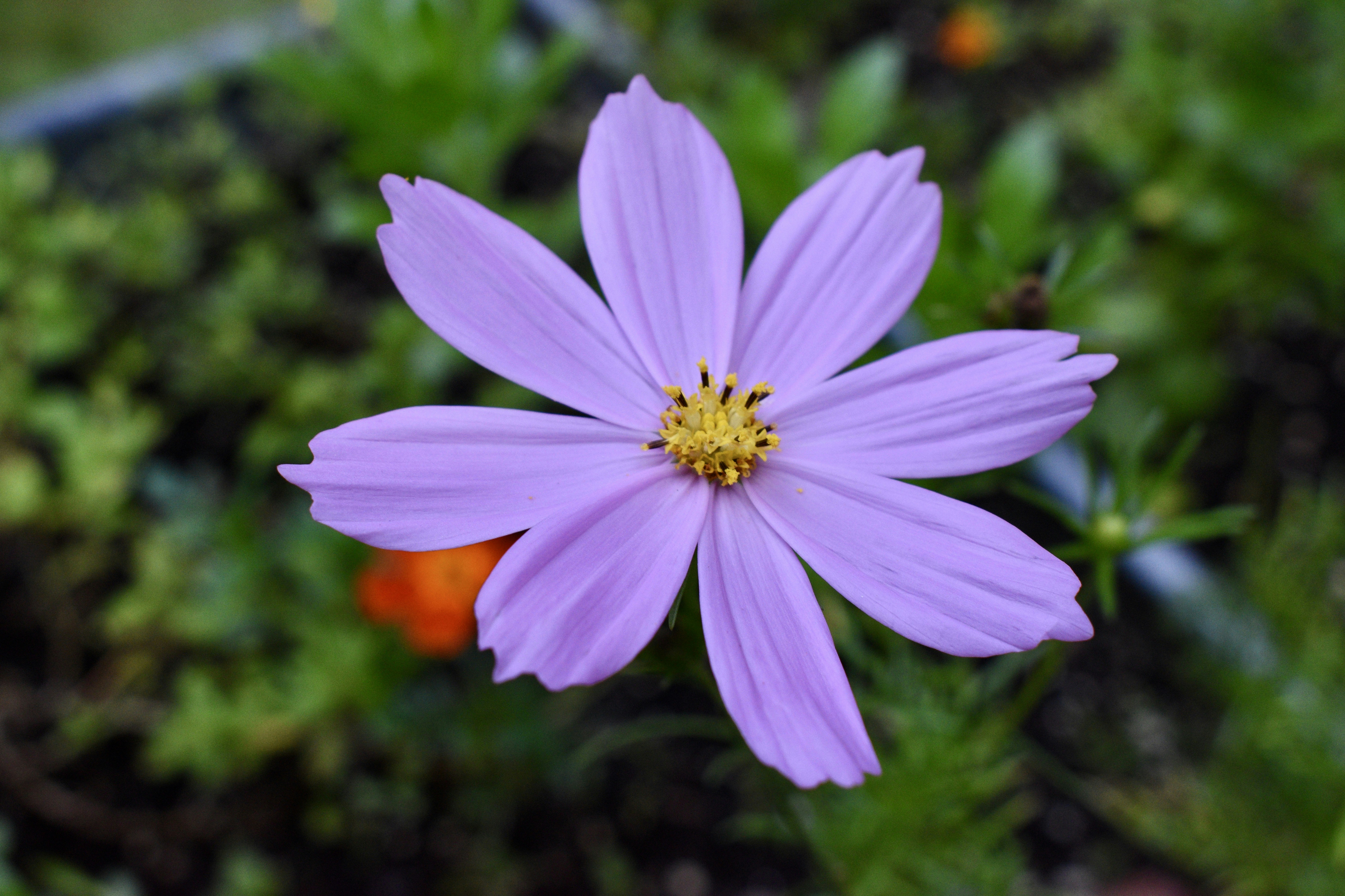 Photo by kellybrookme