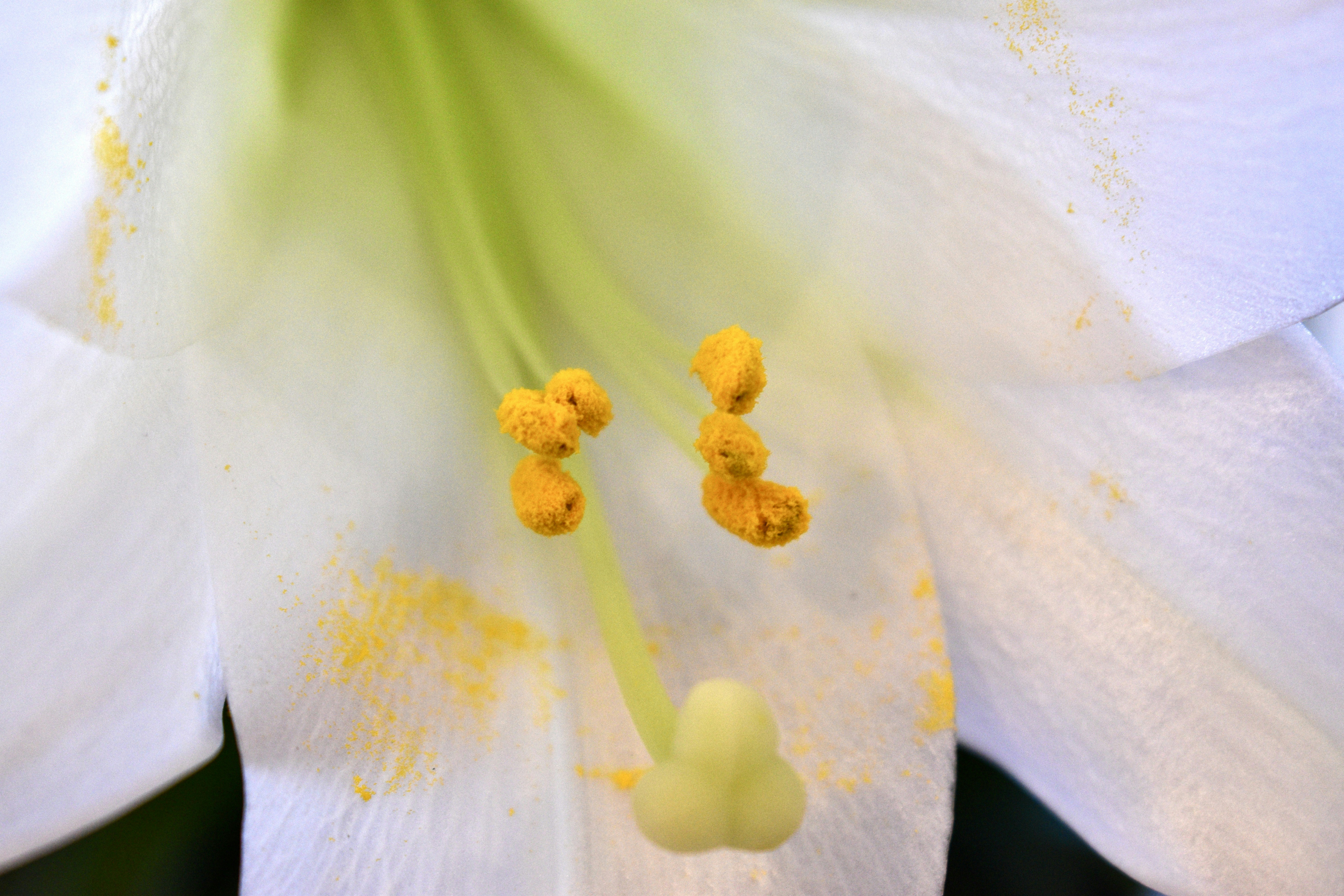 Photo by kellybrookme