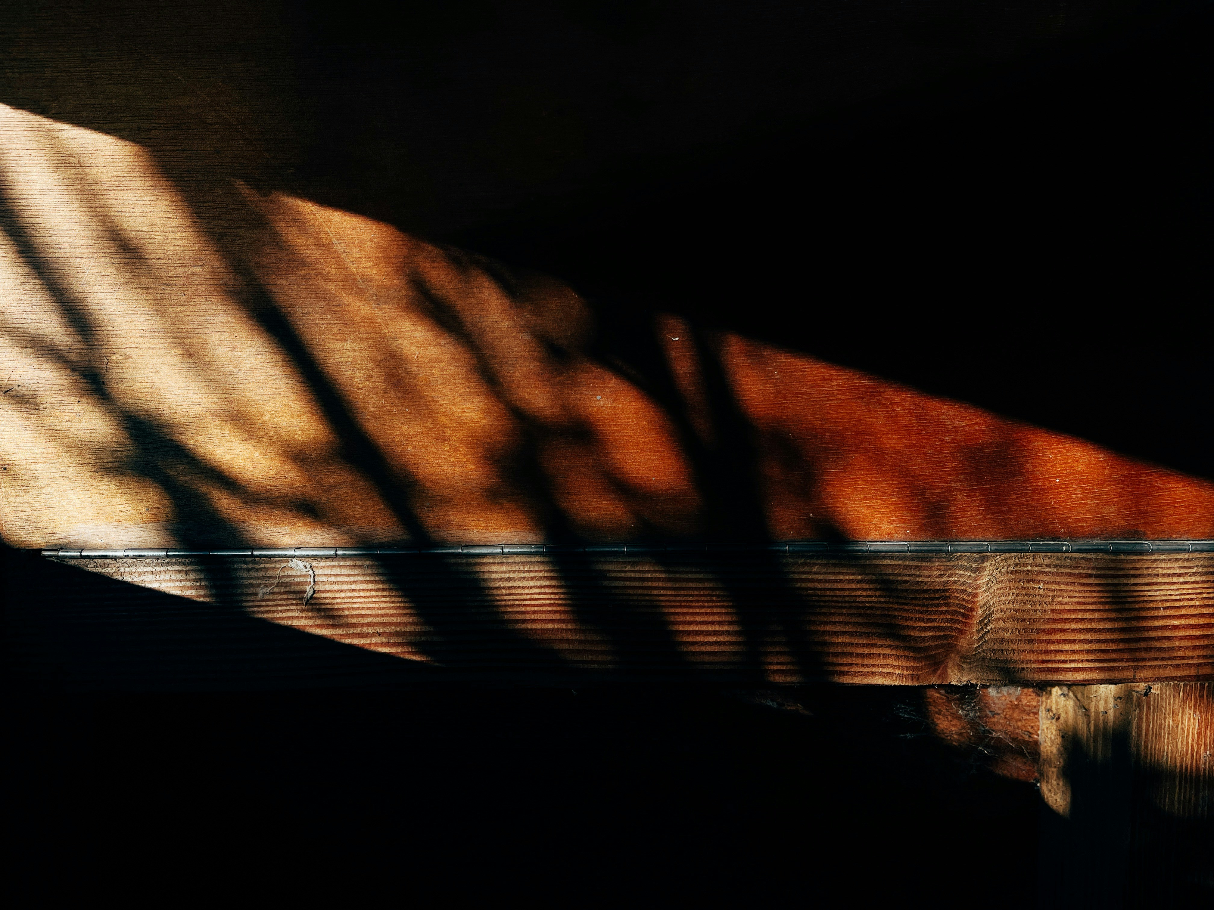 Photo by jessietheslow