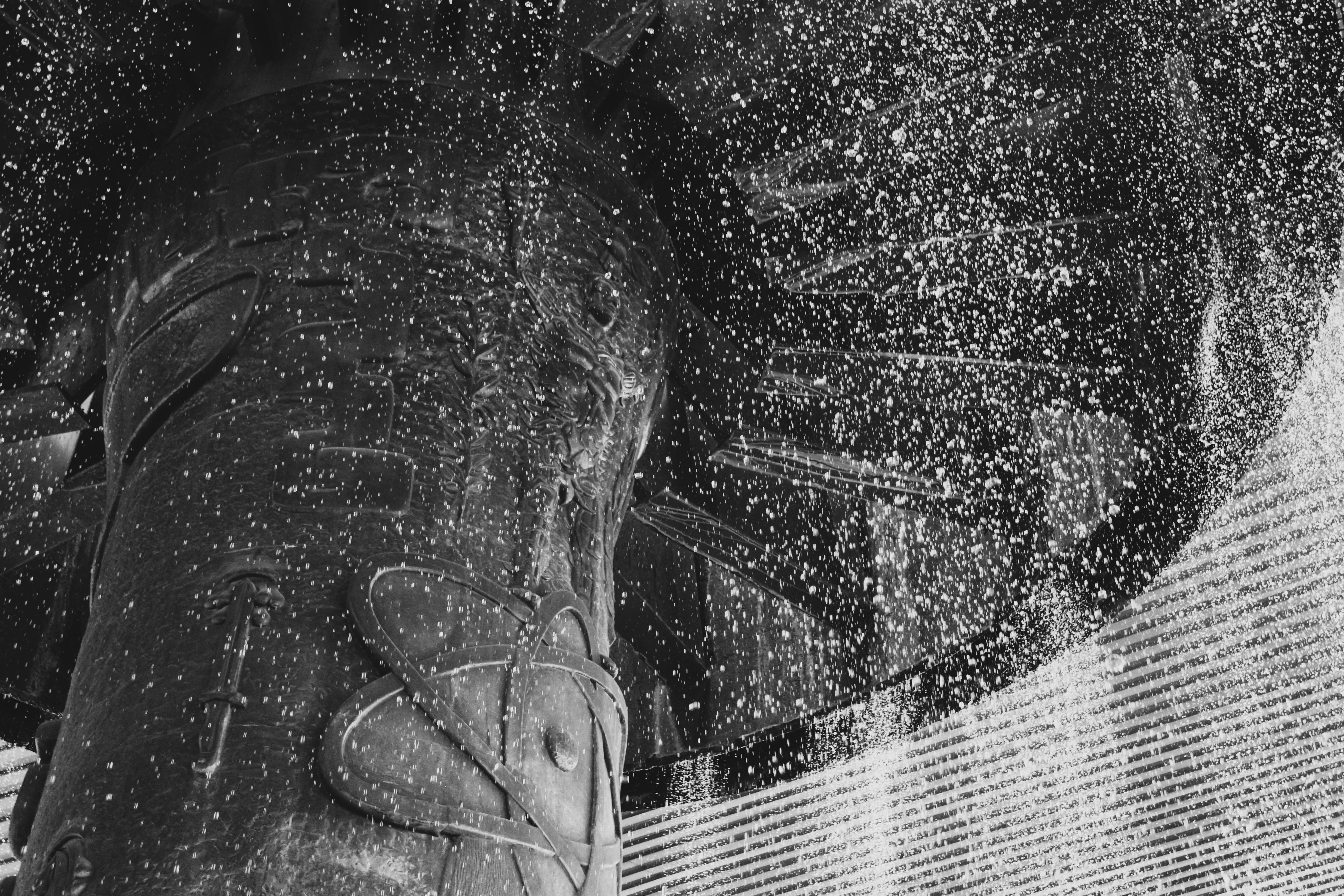 Photo by daniela_wolfvok