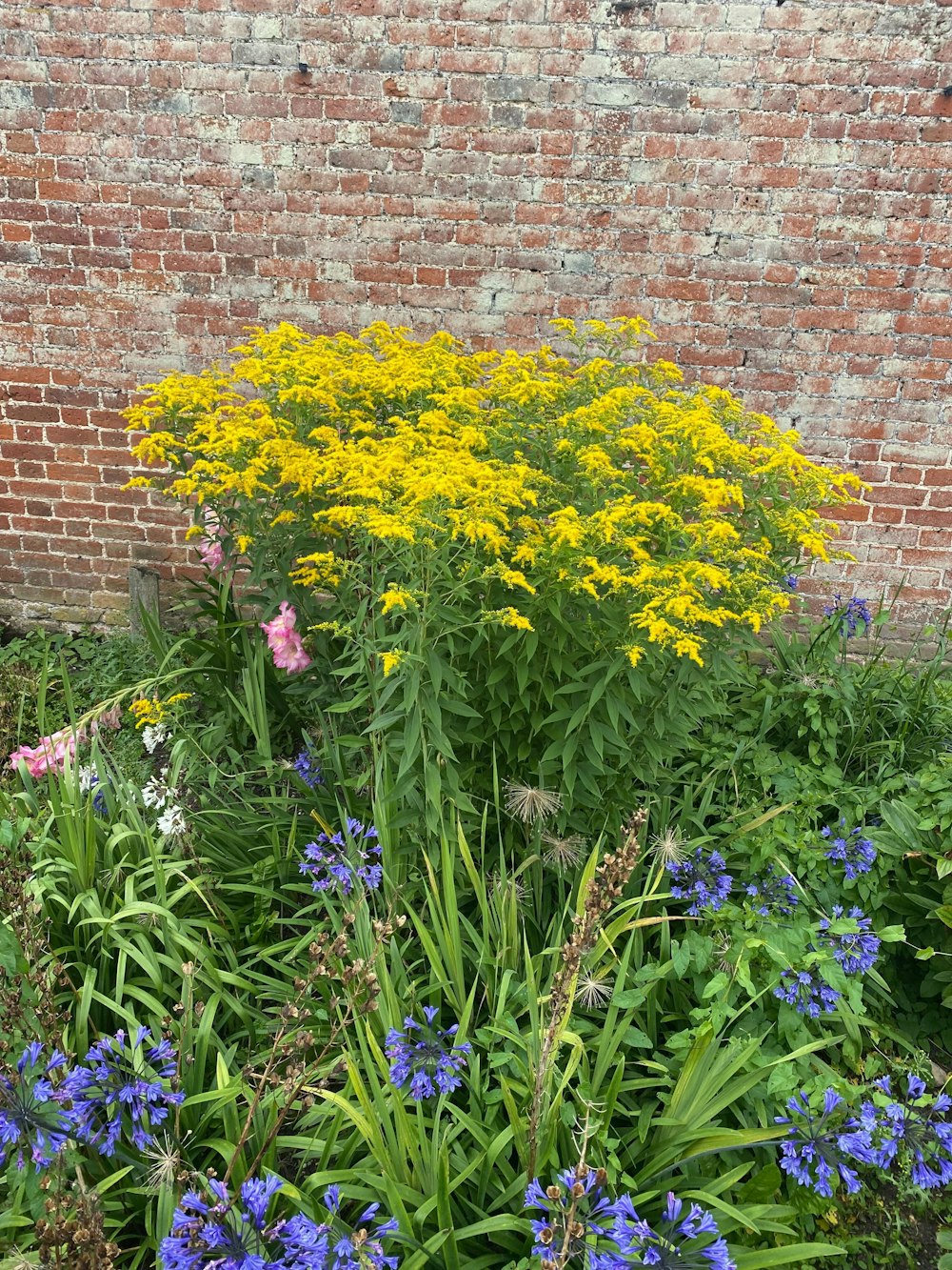 a bunch of flowers that are next to a brick wall