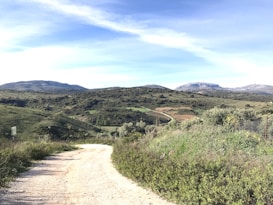 A winding dirt path curves through a lush, green landscape with rolling hills in the background. Sparse shrubbery and a variety of plants line the path with a few signs visible on the sides. The sky above is clear and blue with a few wispy clouds, creating a serene and expansive atmosphere.
