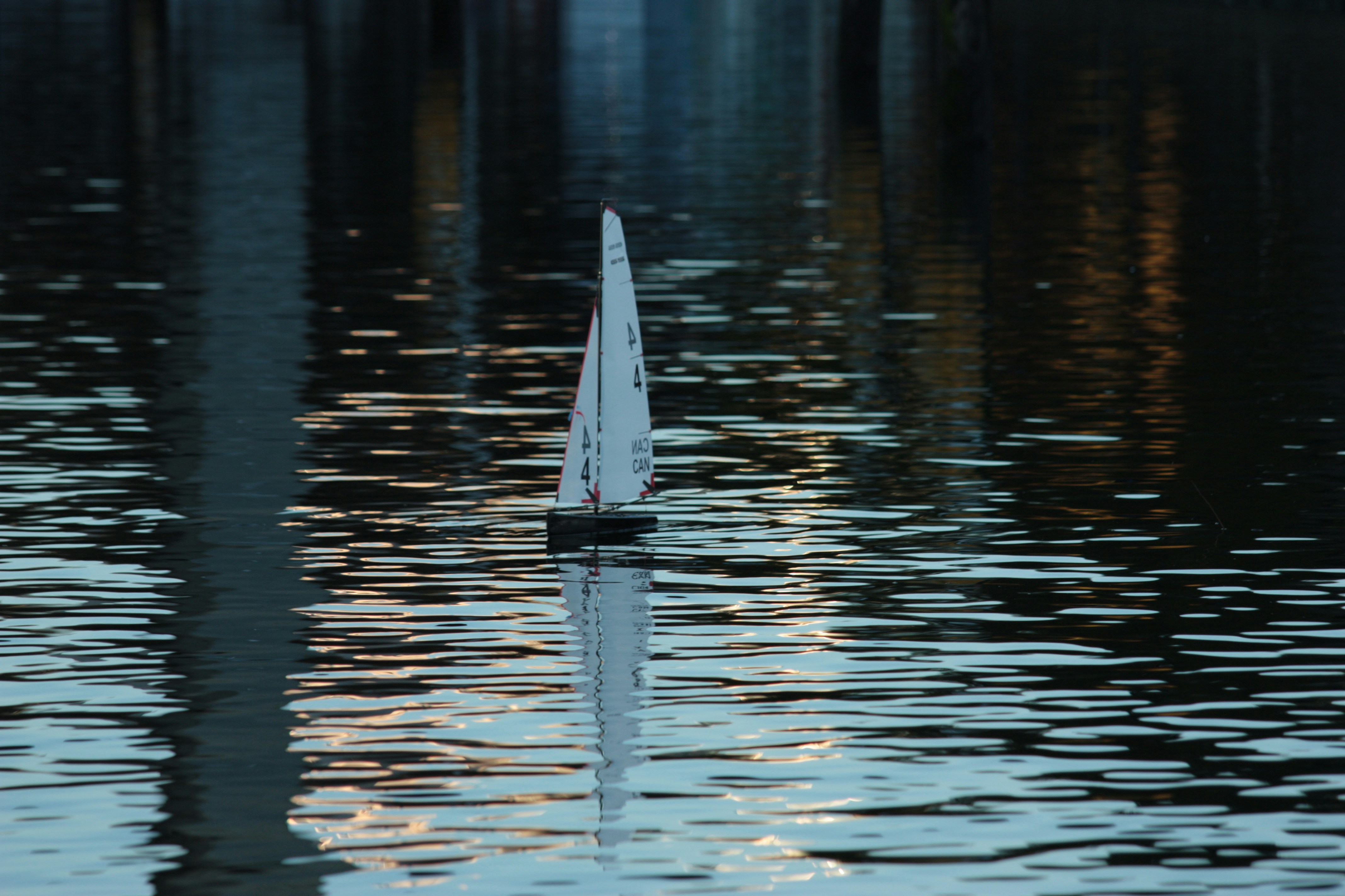 A small sail boat floating on top of a body of water photo – Free Grey ...