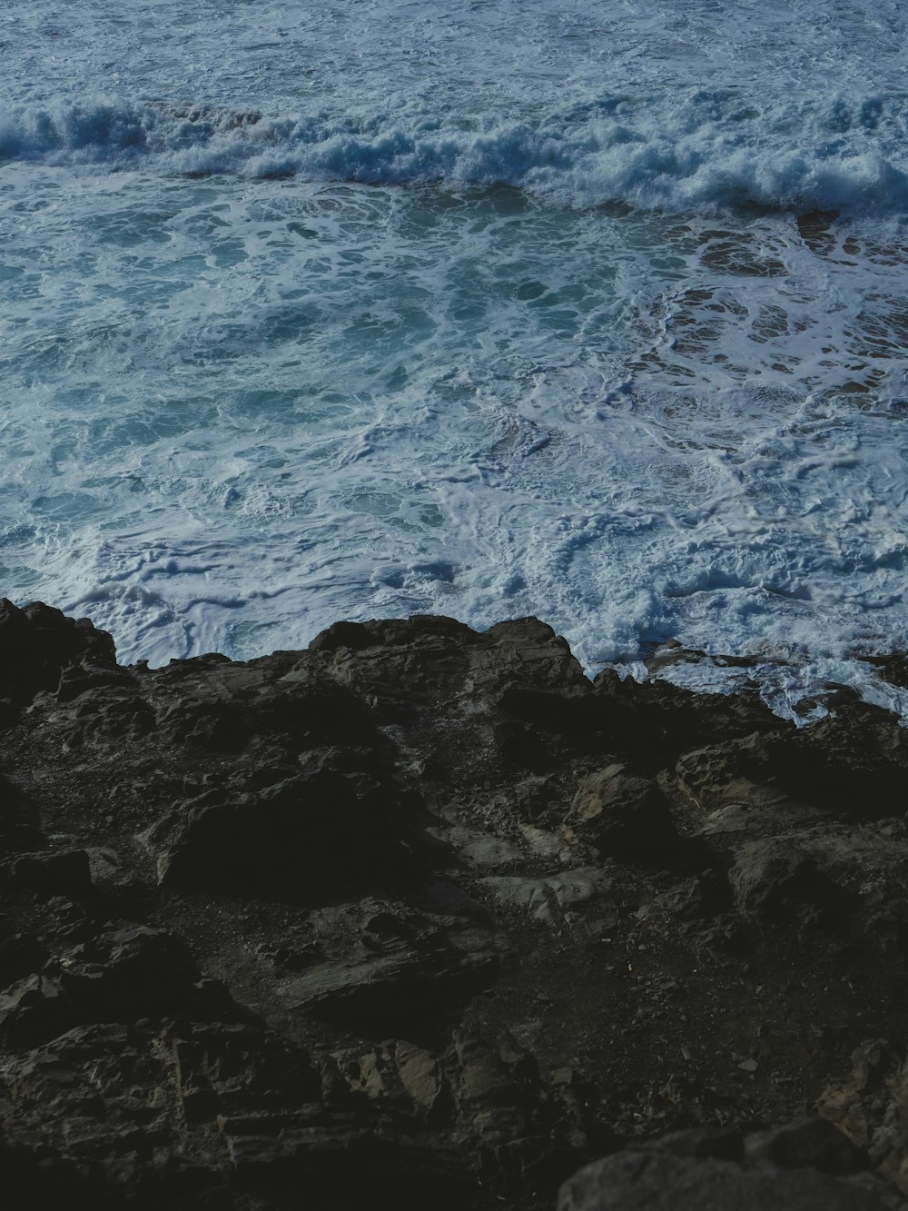 a bird sitting on a rock near the ocean