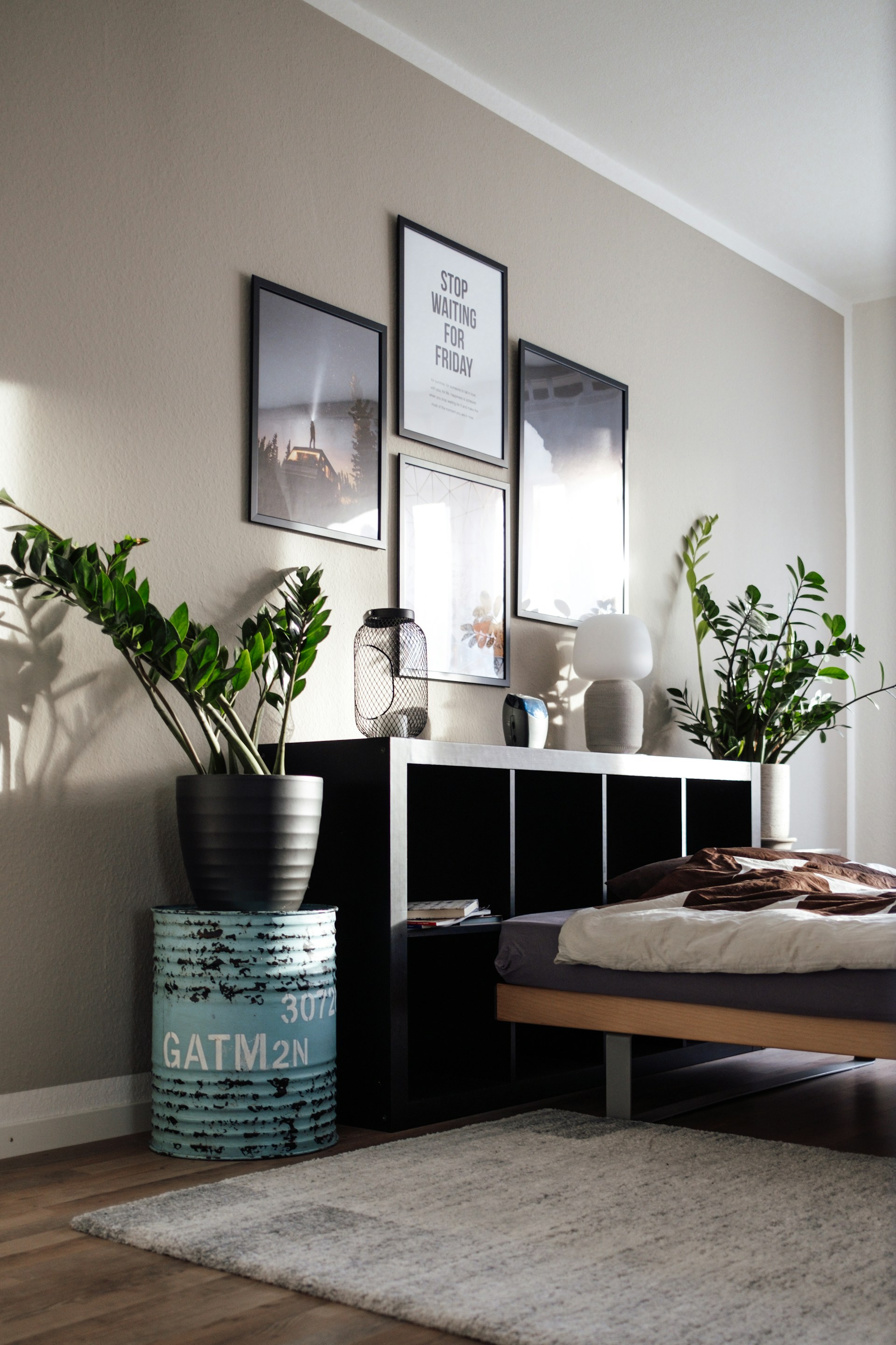 a bedroom with a bed, plant and pictures on the wall