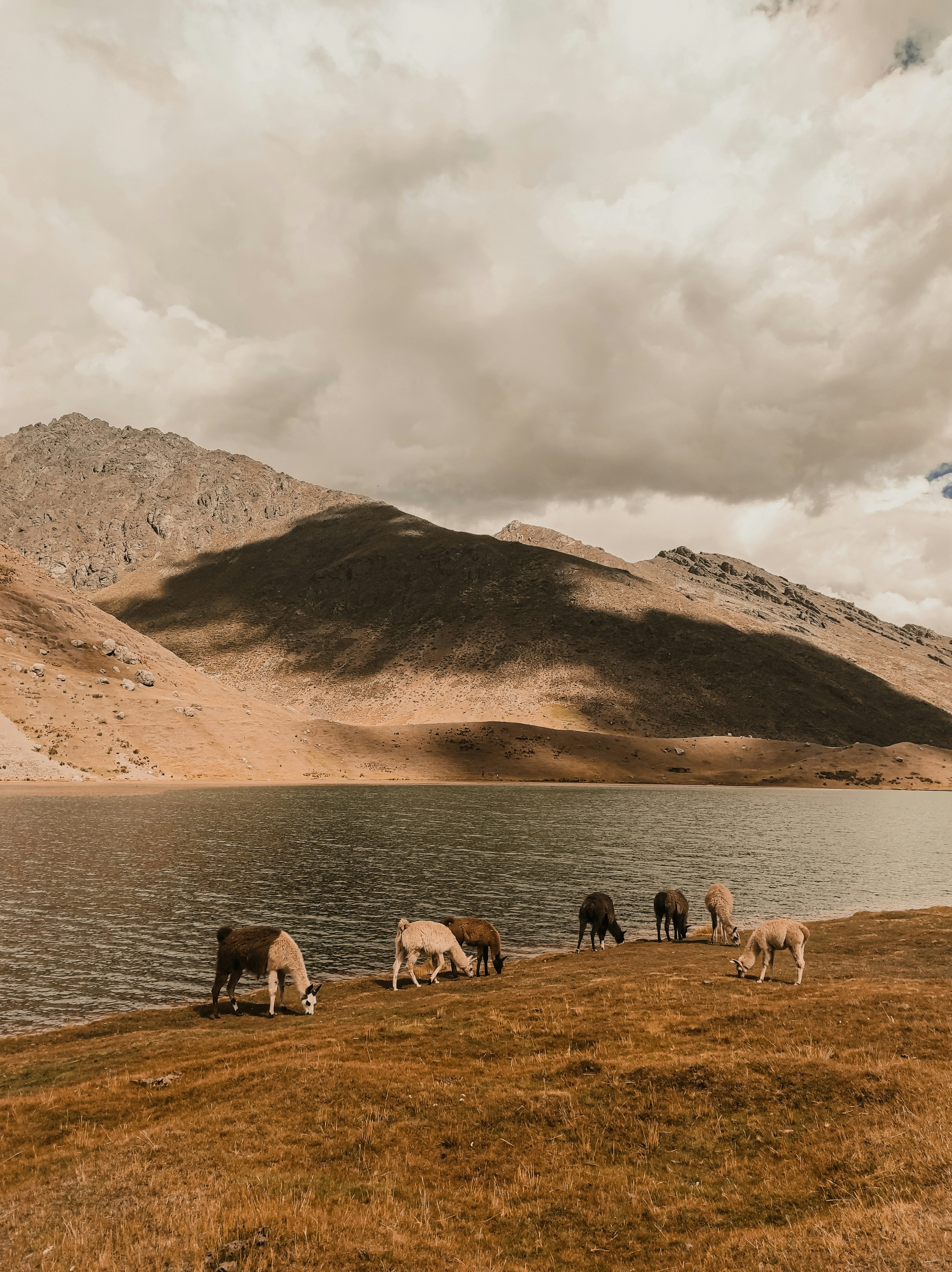 Photo by sandraarenteria