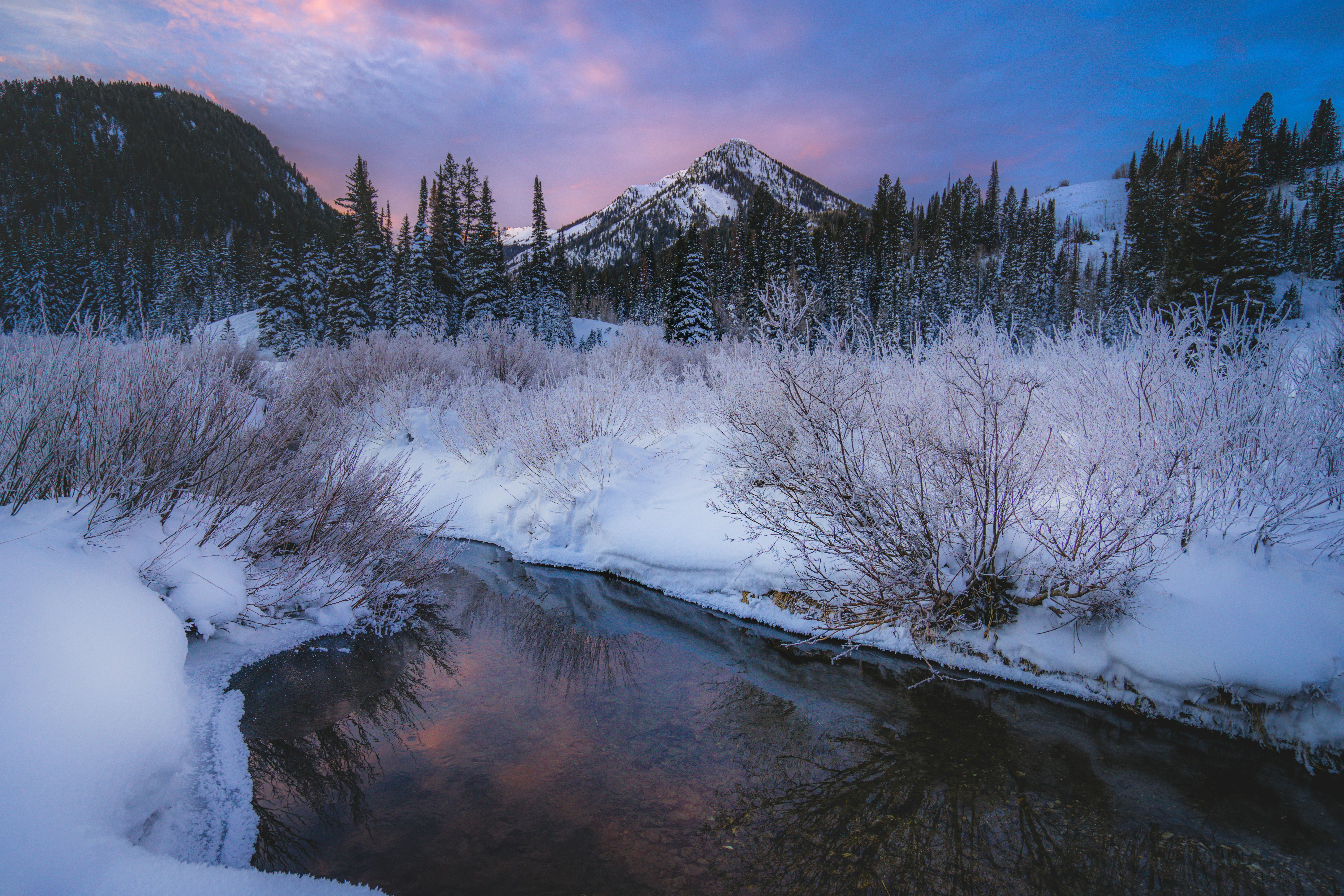 Photo by pics_by_harry