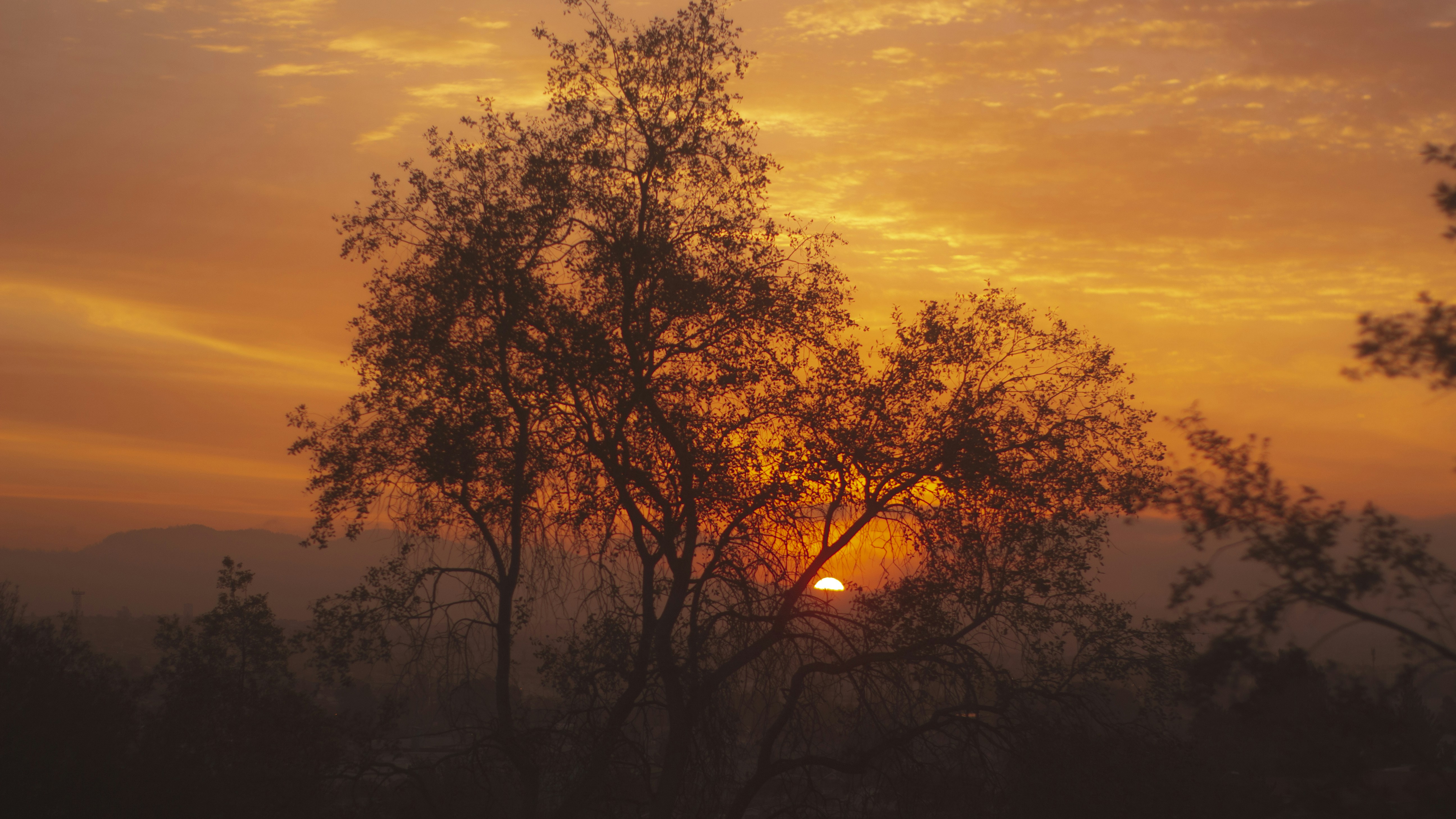 the sun is setting behind a tree in the distance