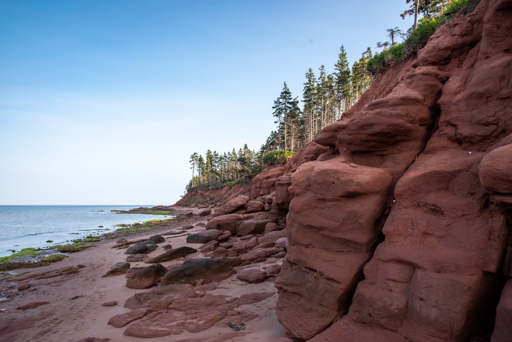 a rocky beach with trees and water in the background