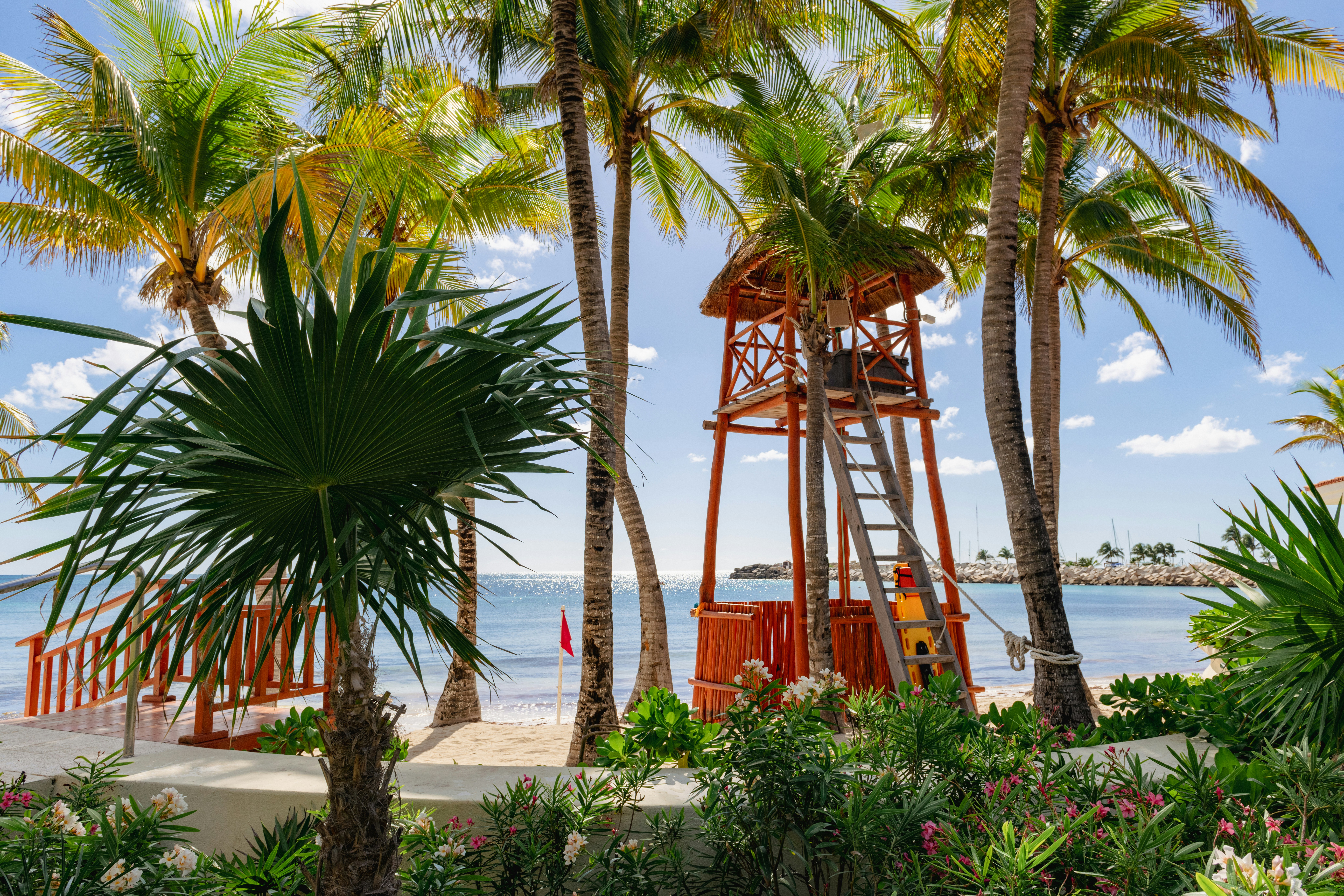 a lifeguard tower on the beach surrounded by palm trees
