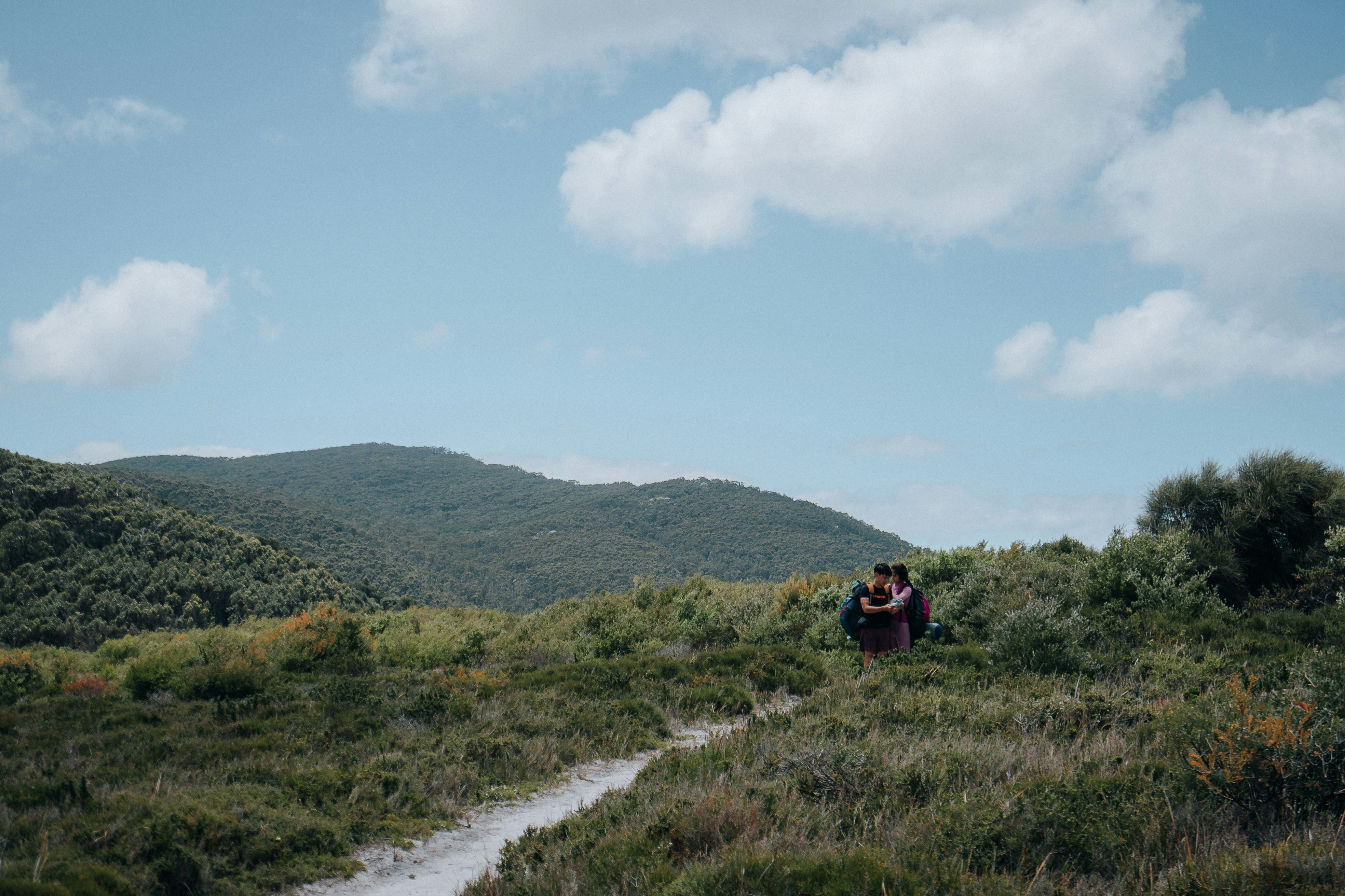 Photo by albertvincentwu