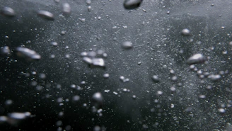 A dynamic scene showing multiple bubbles rising and popping in a rhythmic animation.