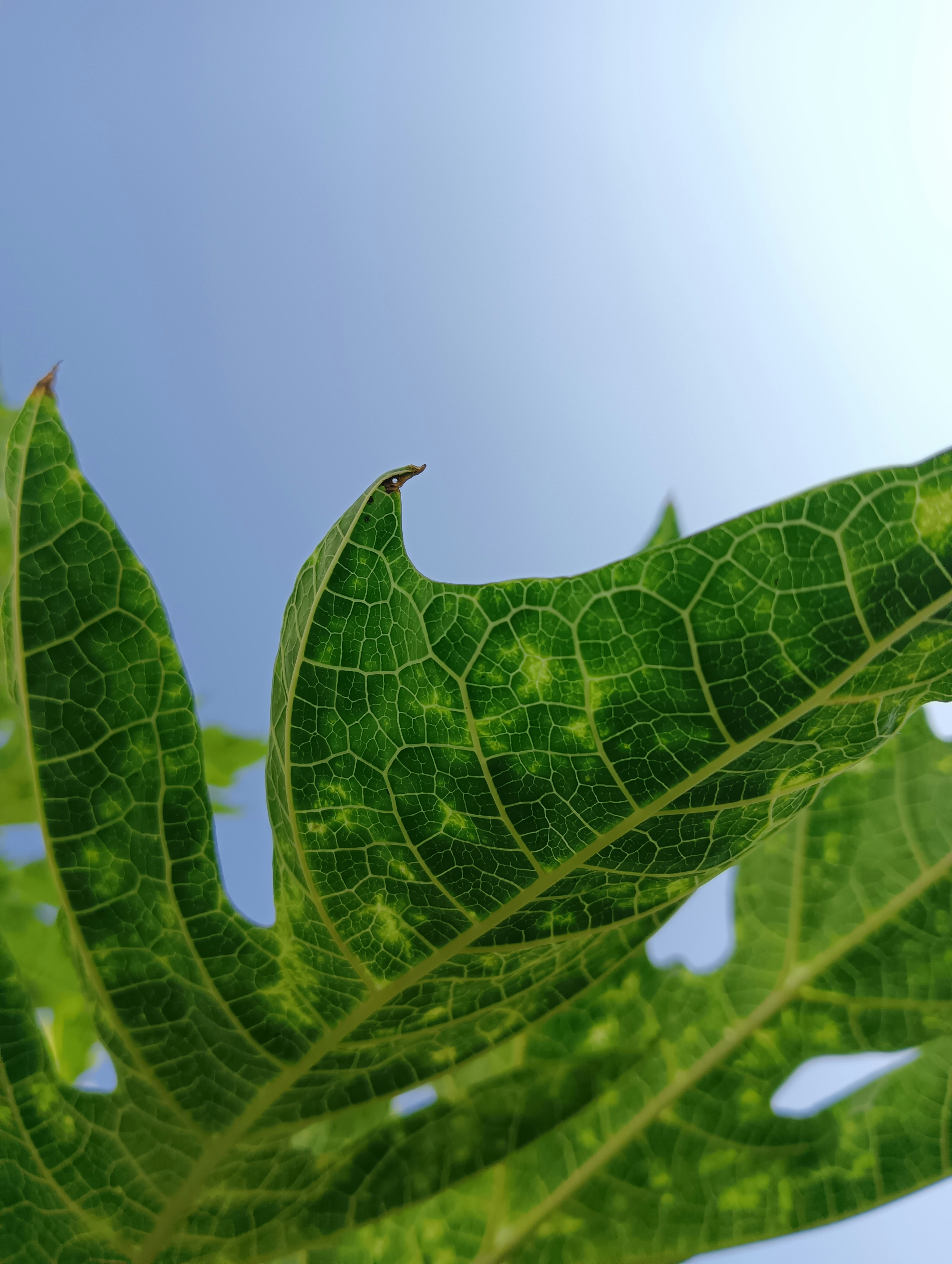 Photo by abigailvijetha