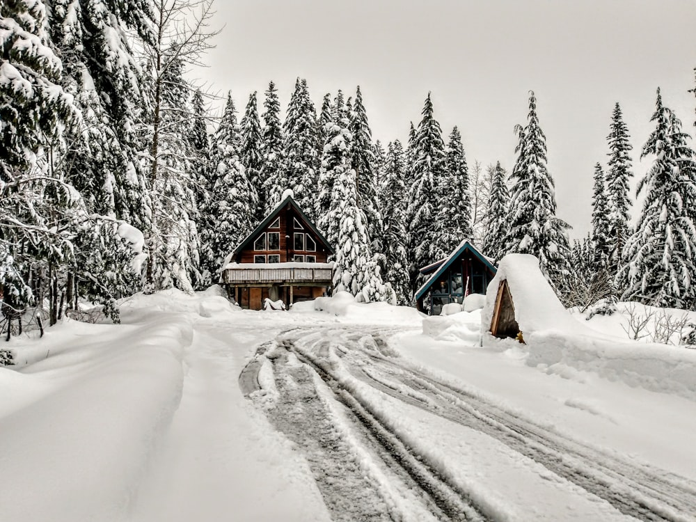 a snow covered road leading to a cabin in the woods