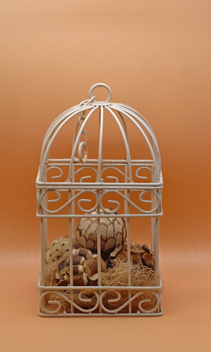 a bird cage with a bunch of birds inside of it