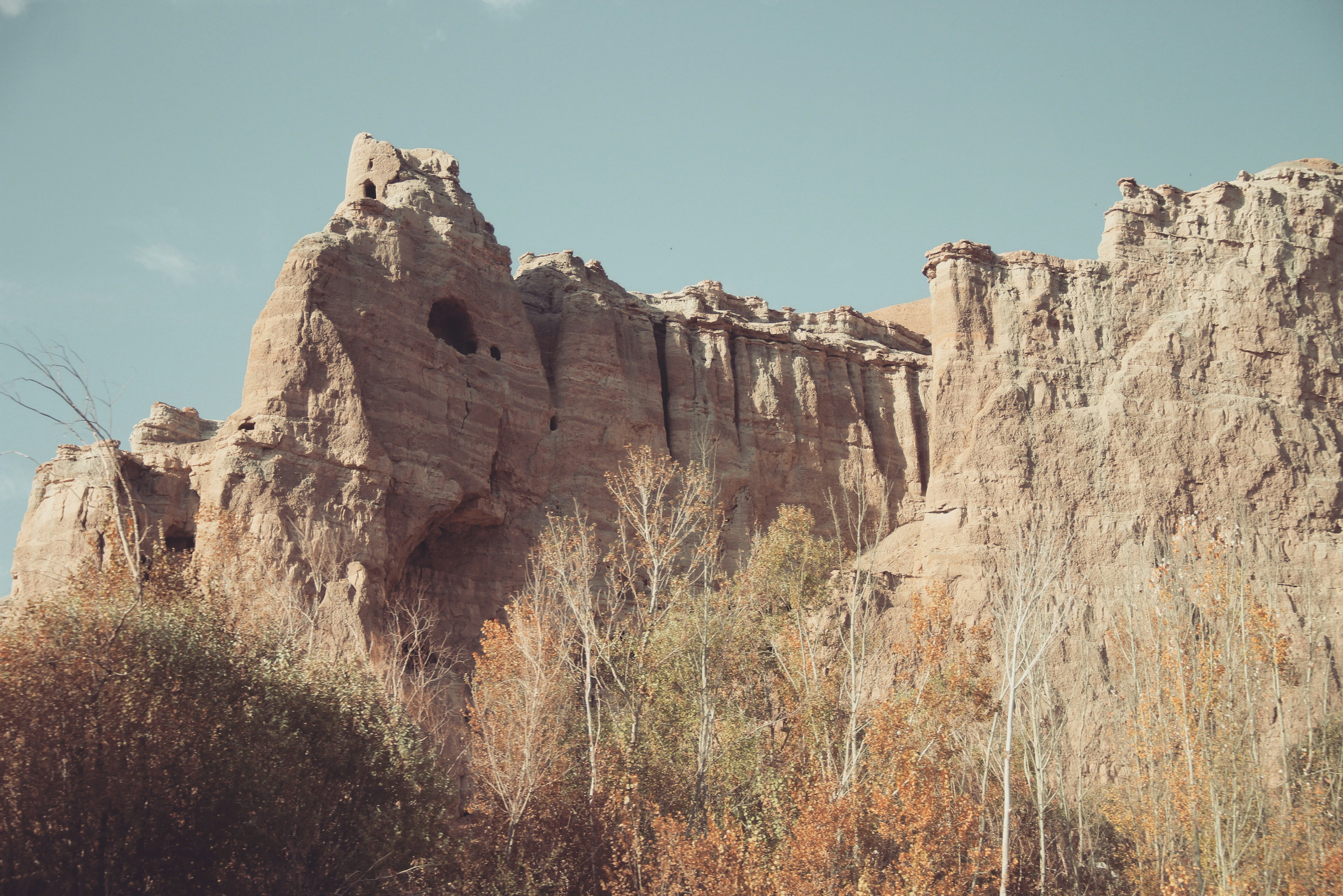 Understanding RAG Status: A Simple Yet Powerful Management Tool