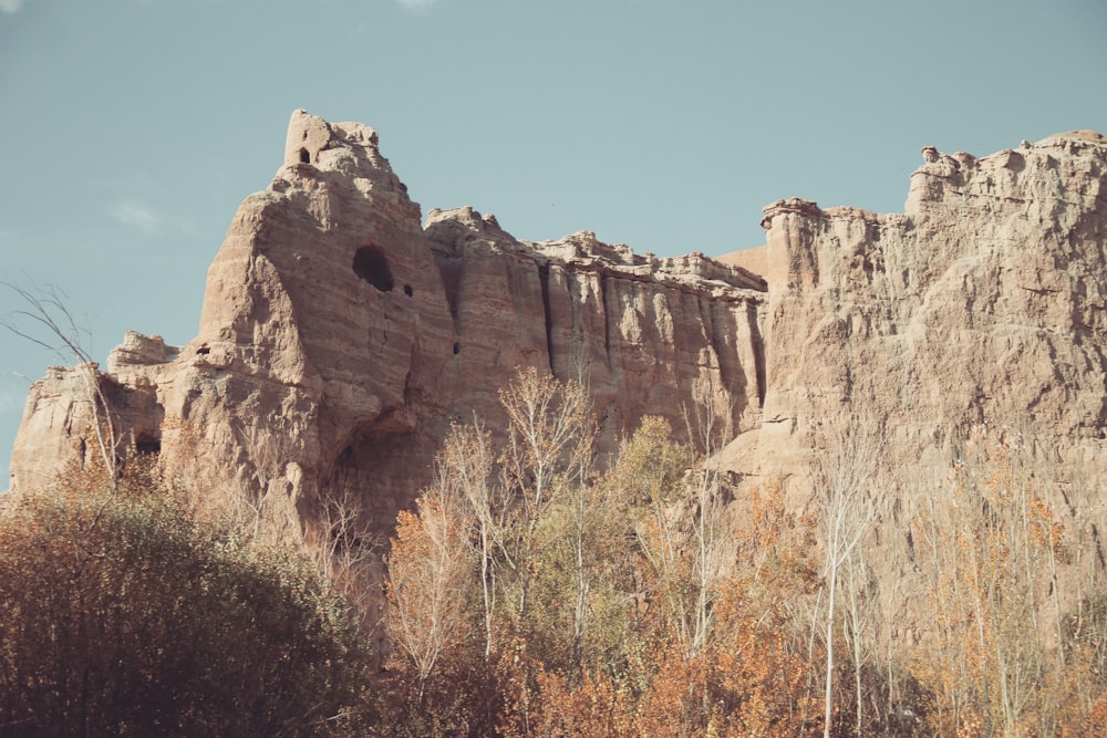 a large rock formation with trees in the foreground