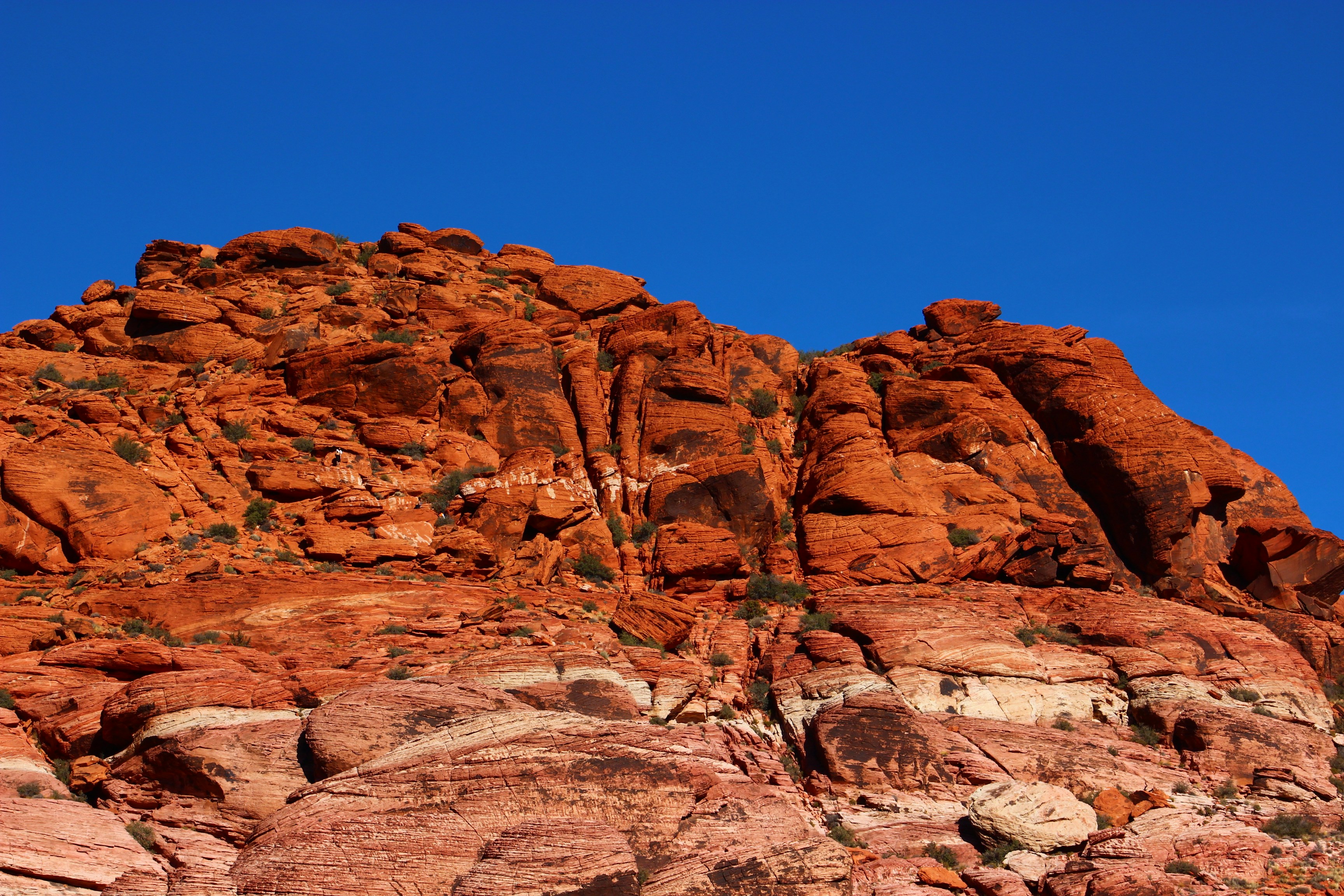 Photo by ajperrenoud