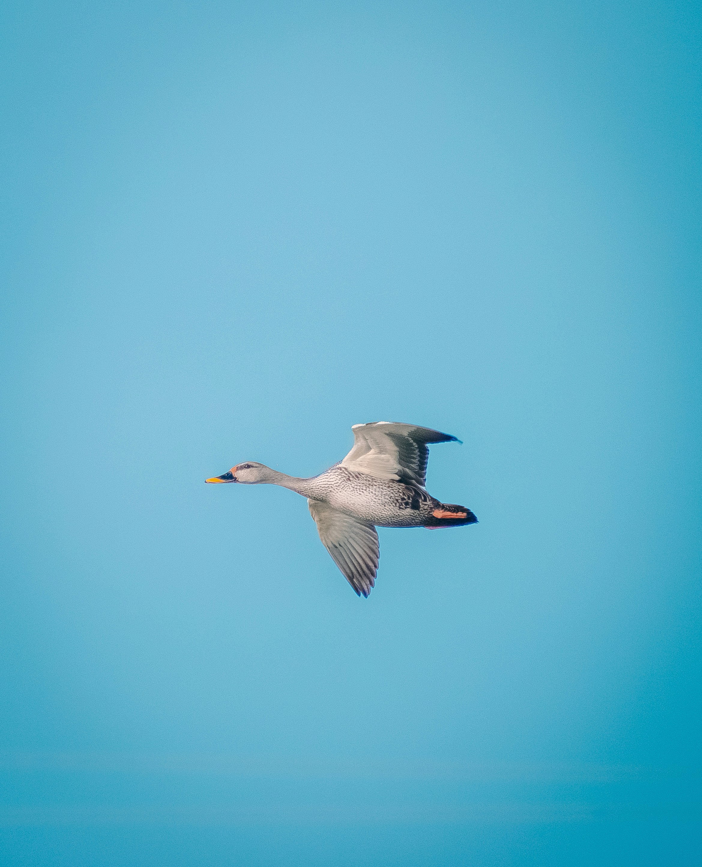 Photo by sagarkulkarni