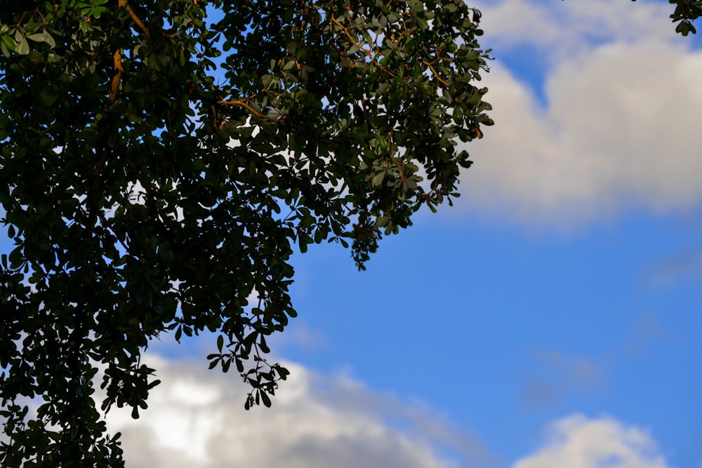 a plane flying through a cloudy blue sky