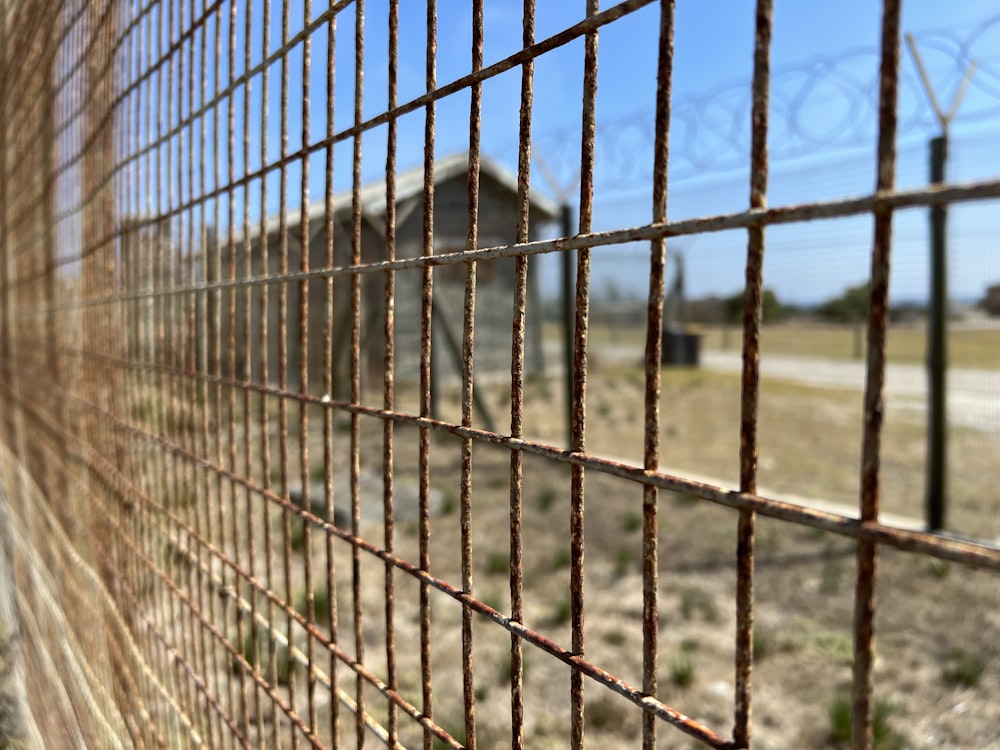 a close up of a fence with a building in the background